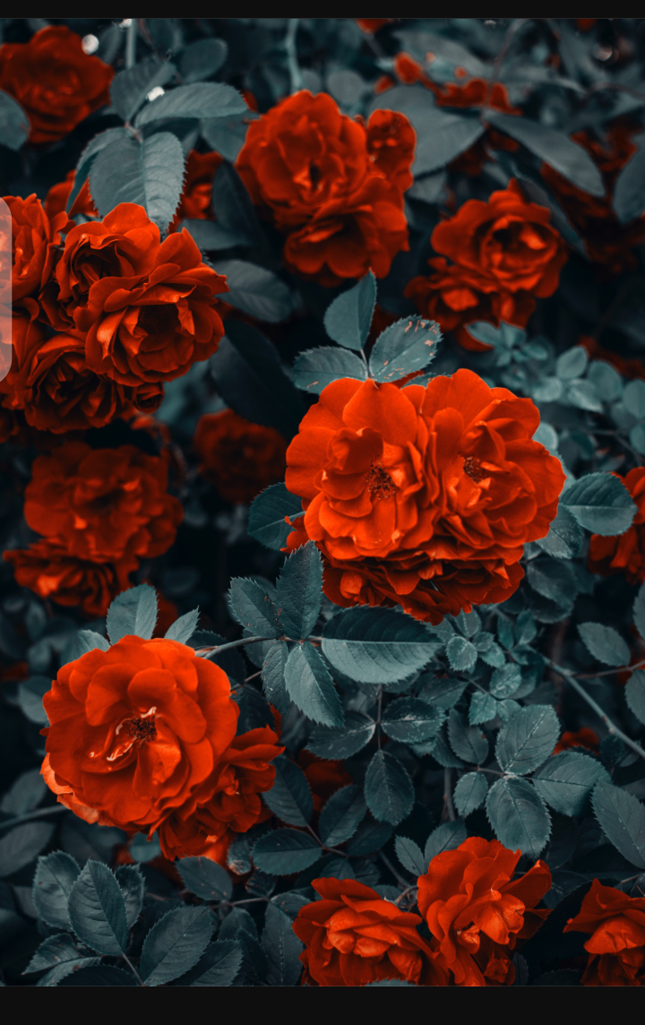 Screenshot_20210930-092702.png