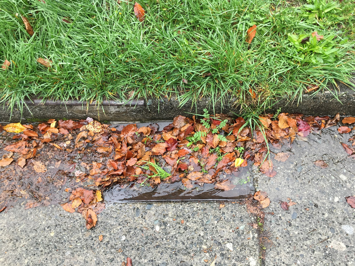 drain1.jpg