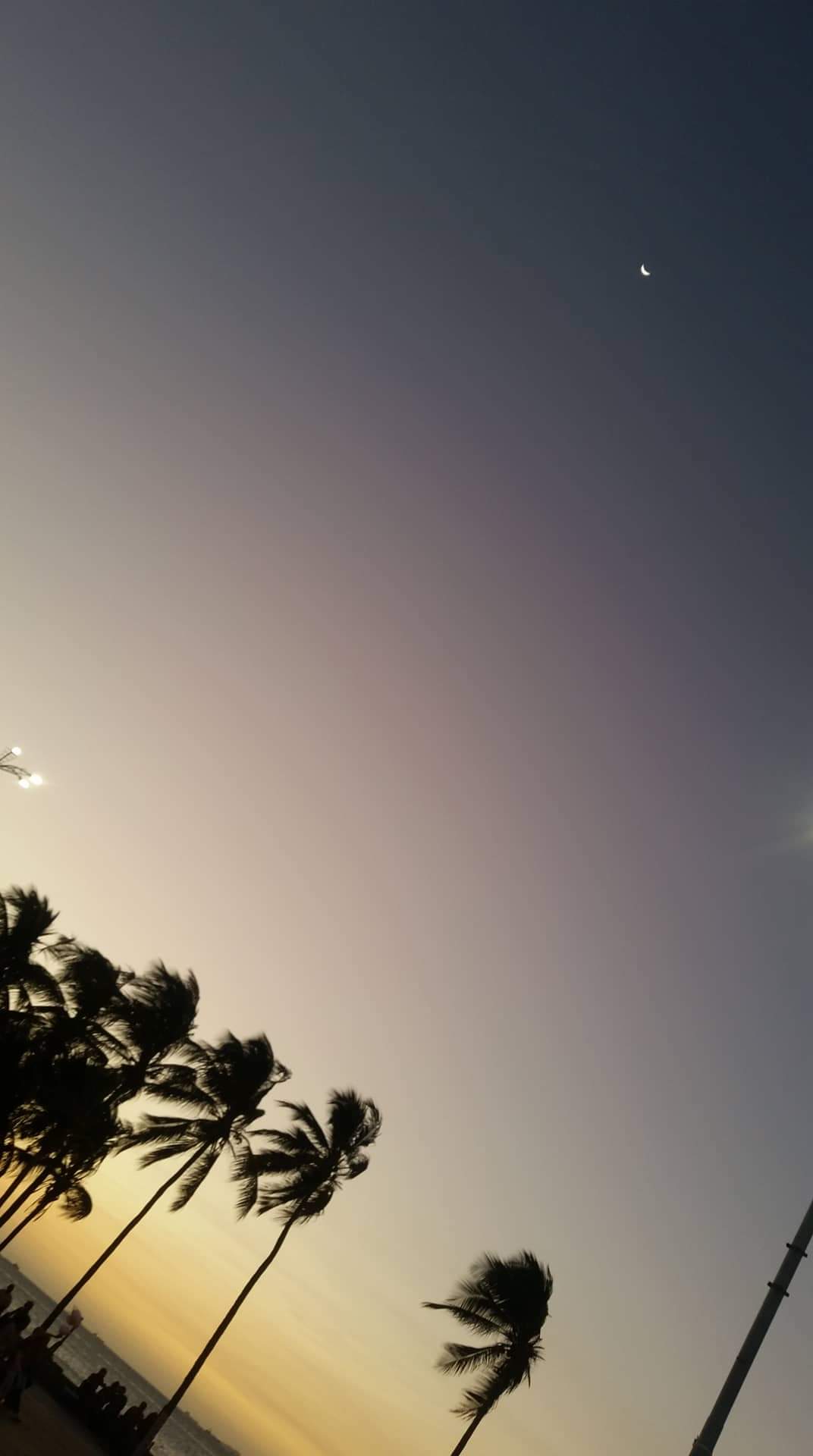 received_319586645354585.jpeg