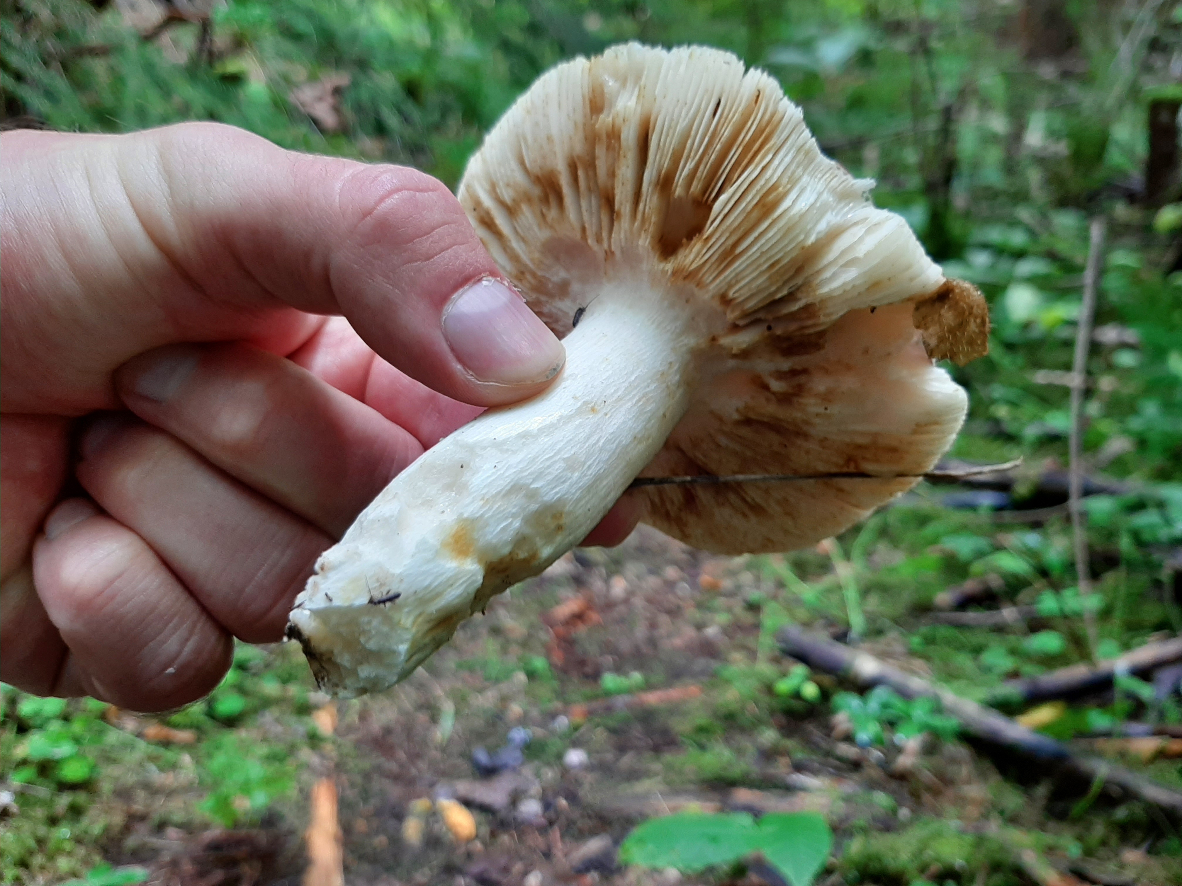 20260726_110253.jpg