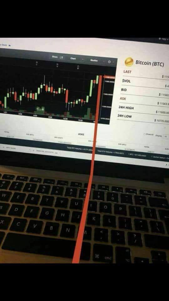 27331924_1779251965714414_1771551614122531038_n.jpg