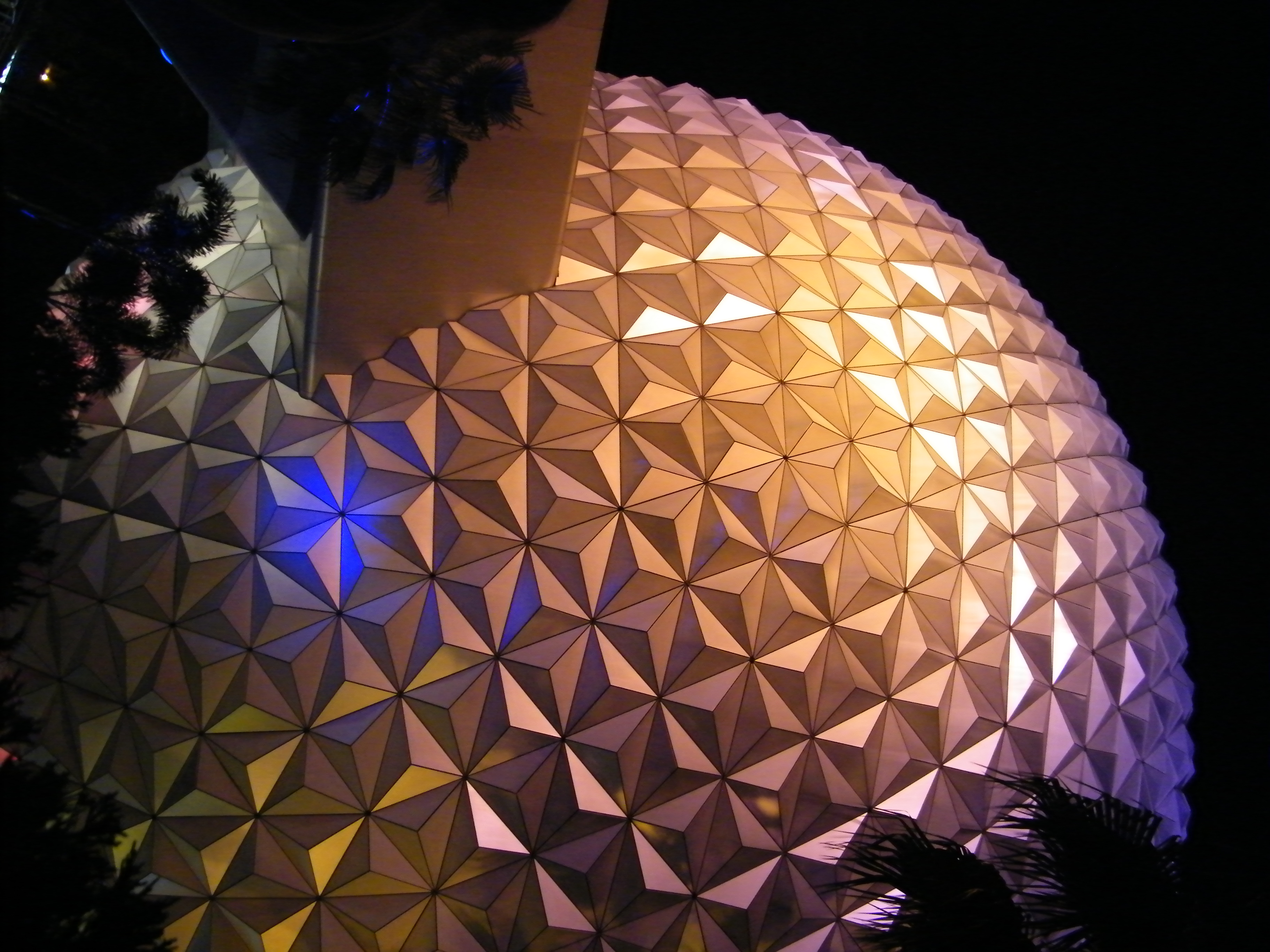 DSCF9668.JPG