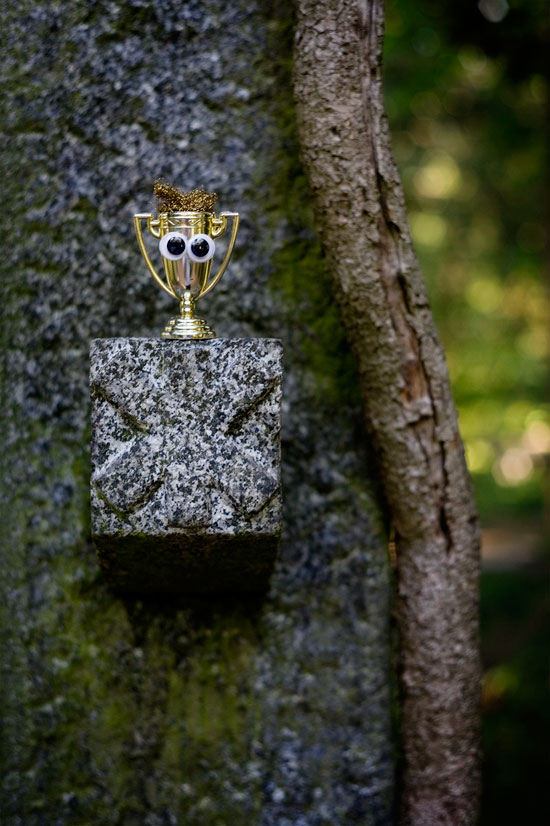 GooglyPrize GooglyEyes bonus image 94