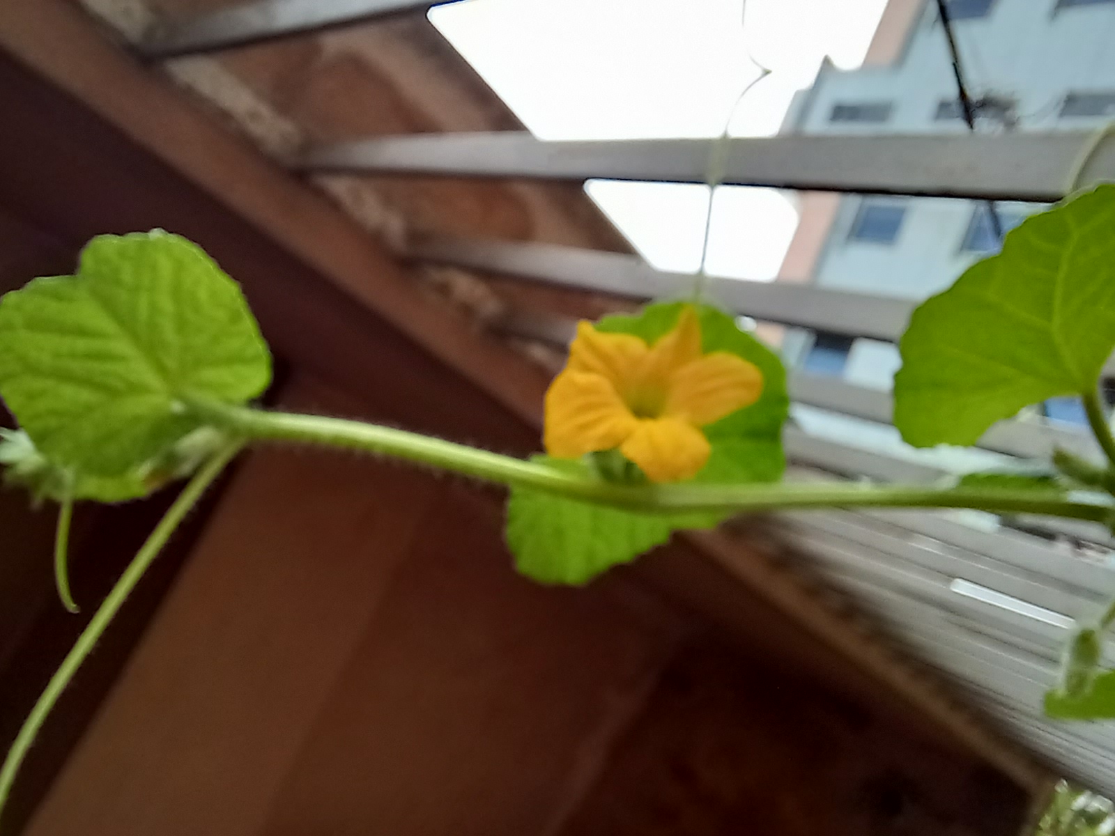 20210418_104953.jpg