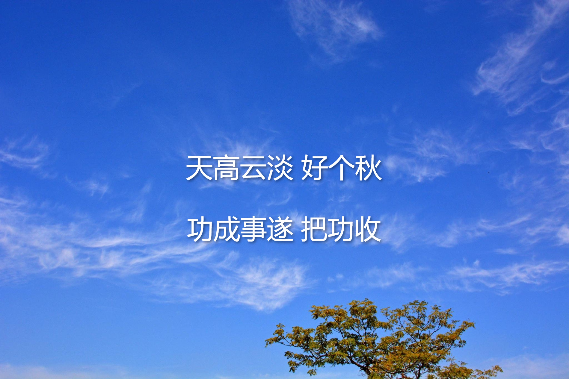 qiu-简体.jpg