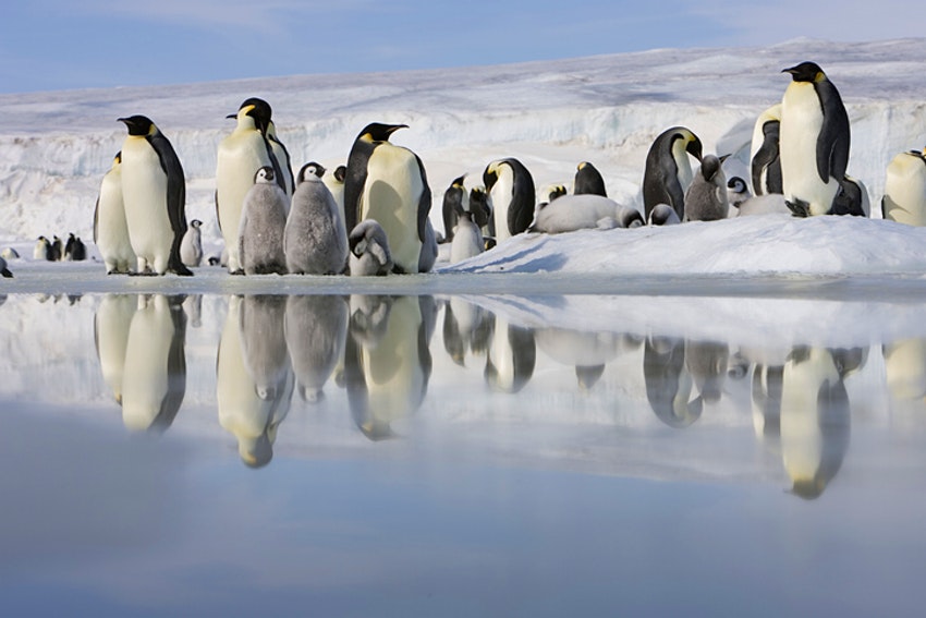 GettyImages-200535467-001.jpg