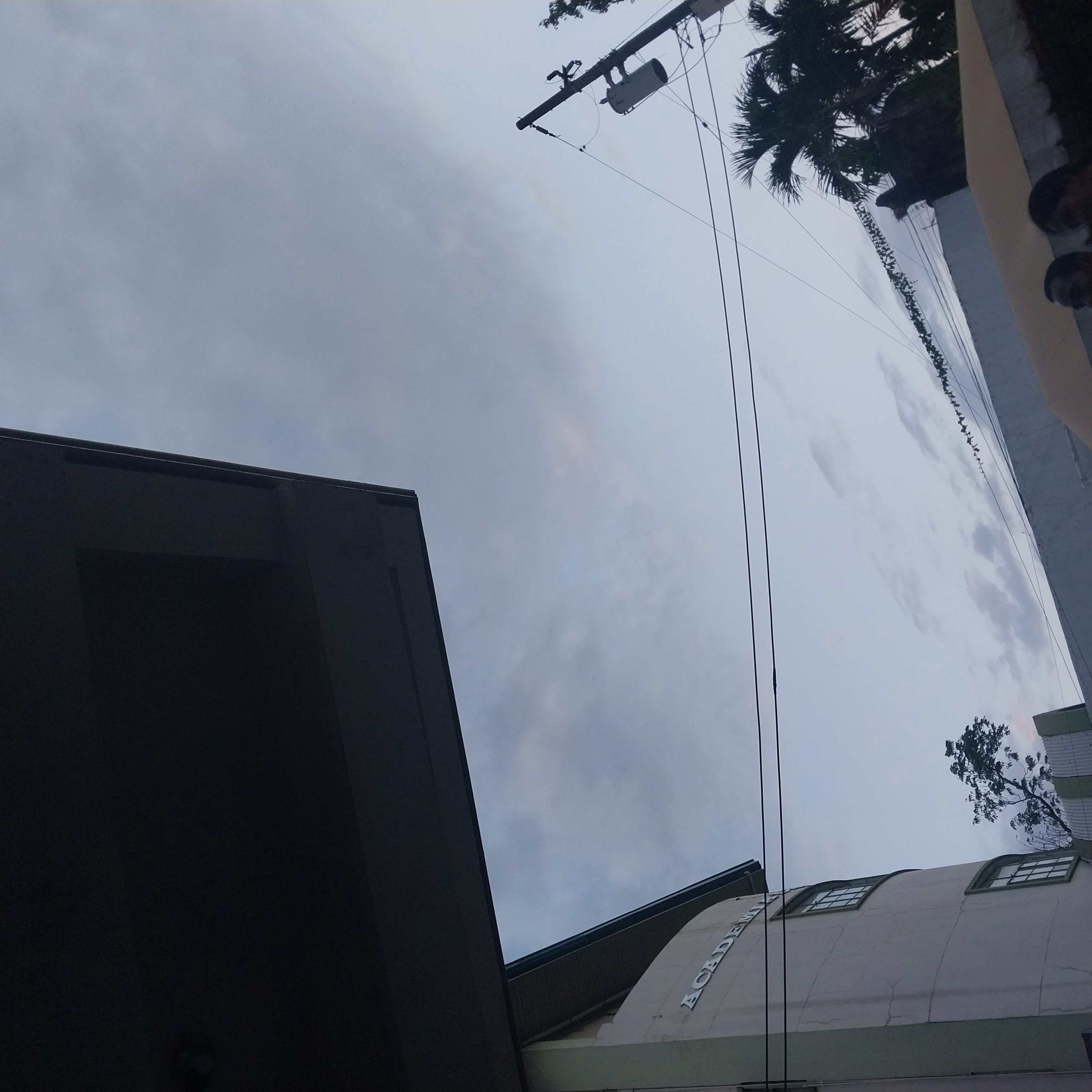 20230312_174802.jpg