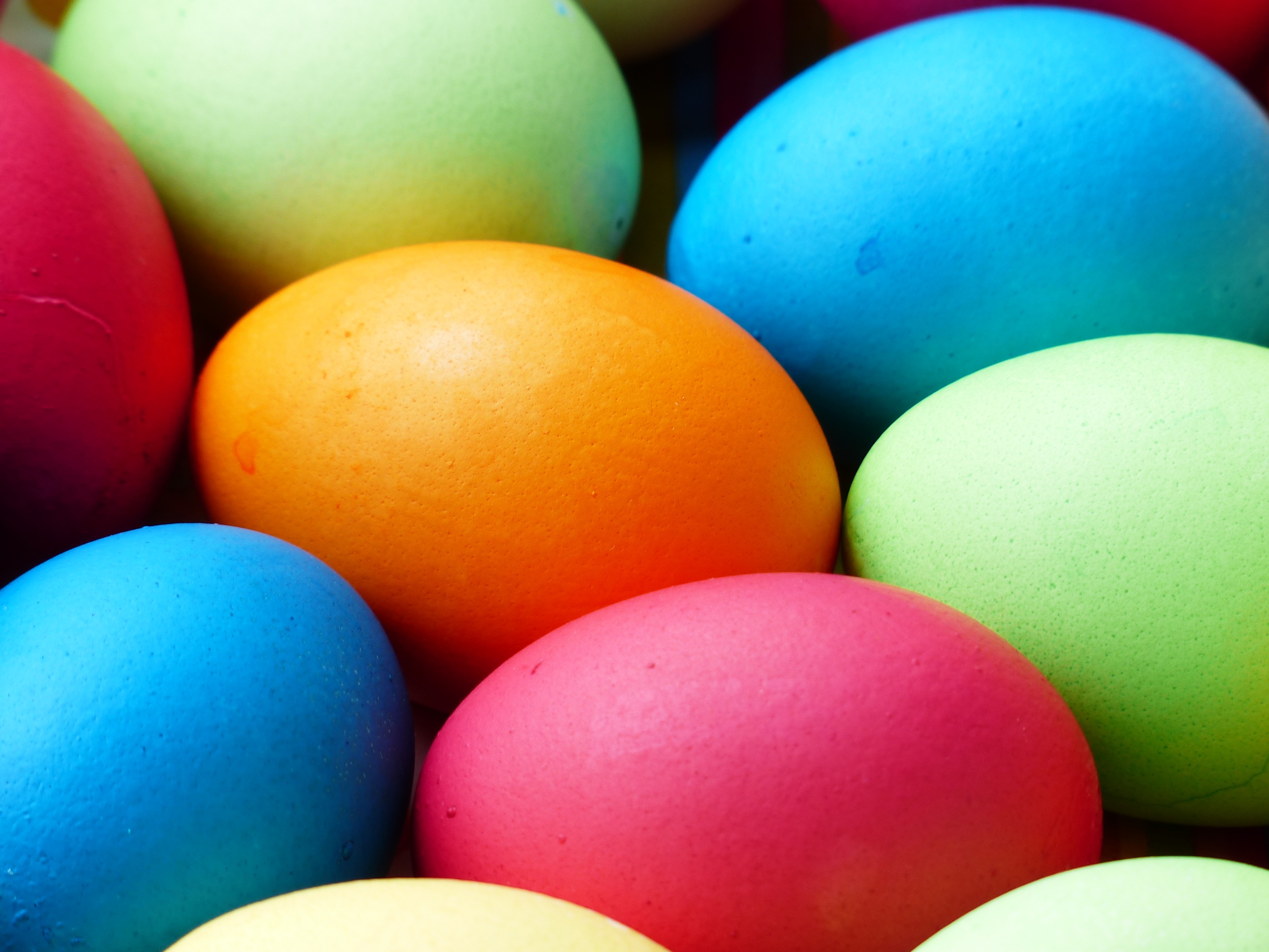 egg-100165.jpg