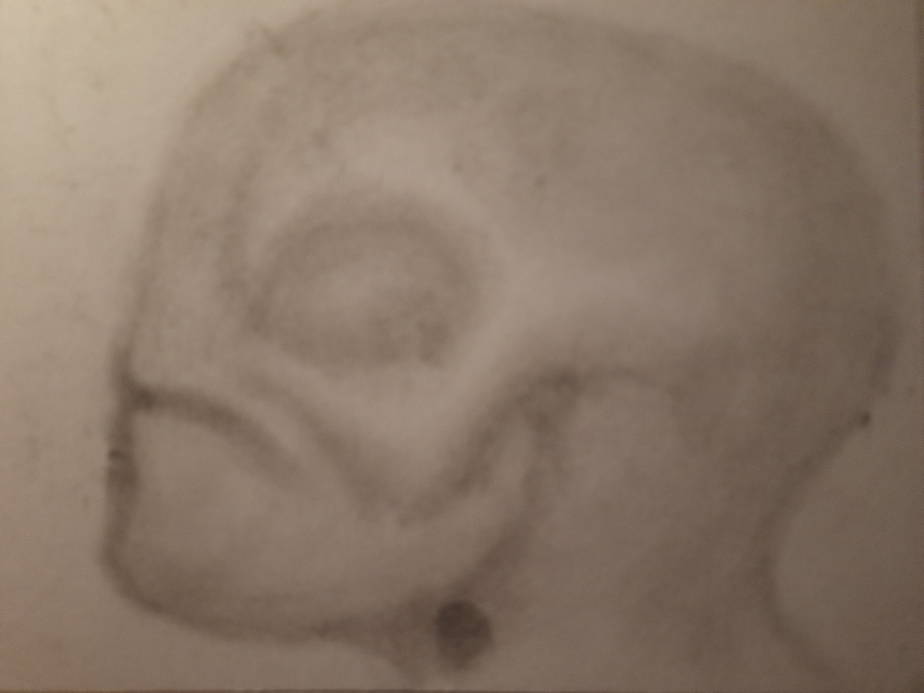 20260606_101956.jpg