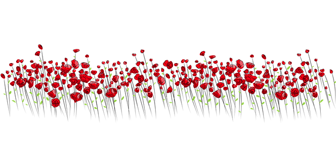 flowers-2755297__340.png