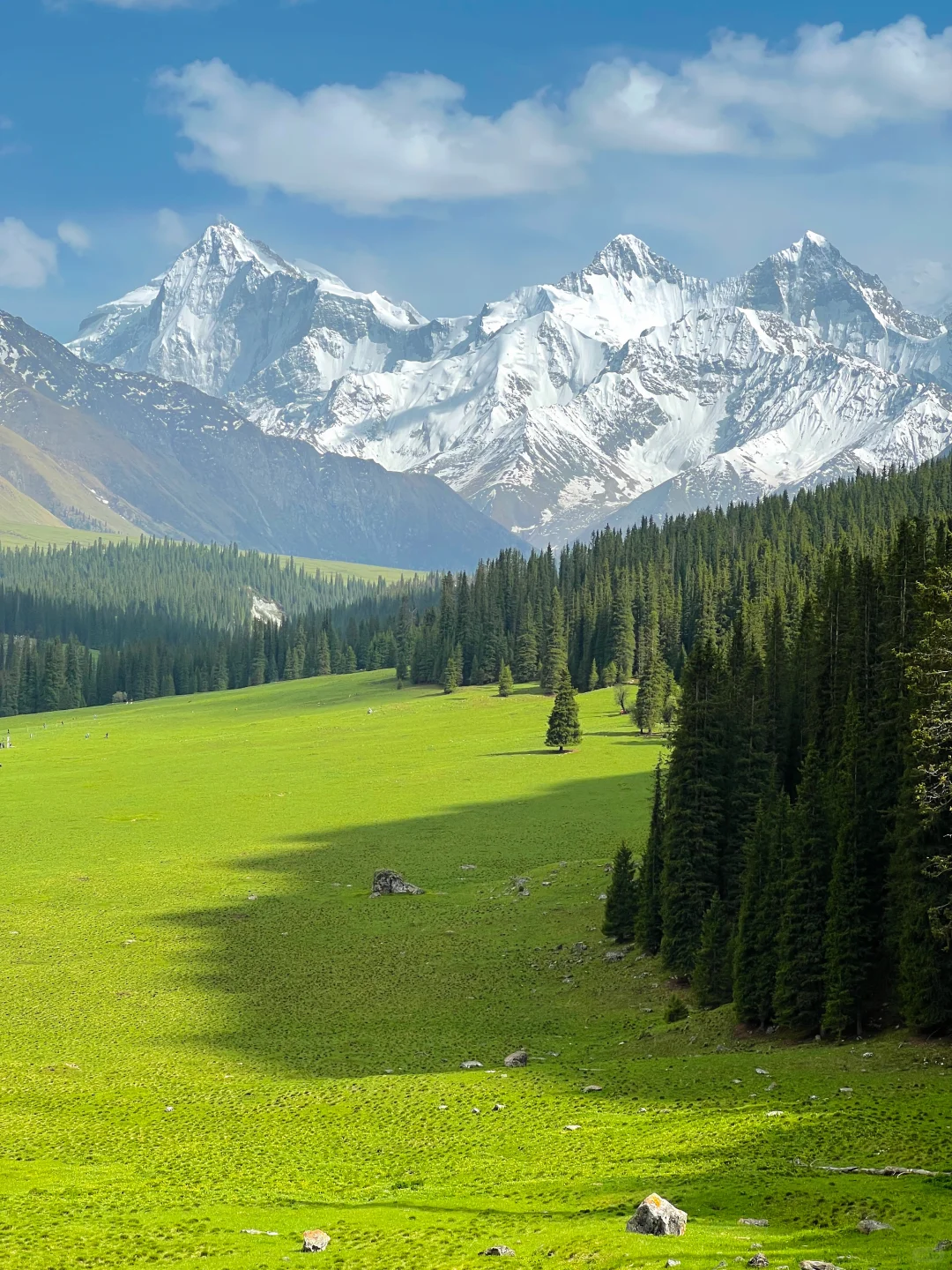 171.webp