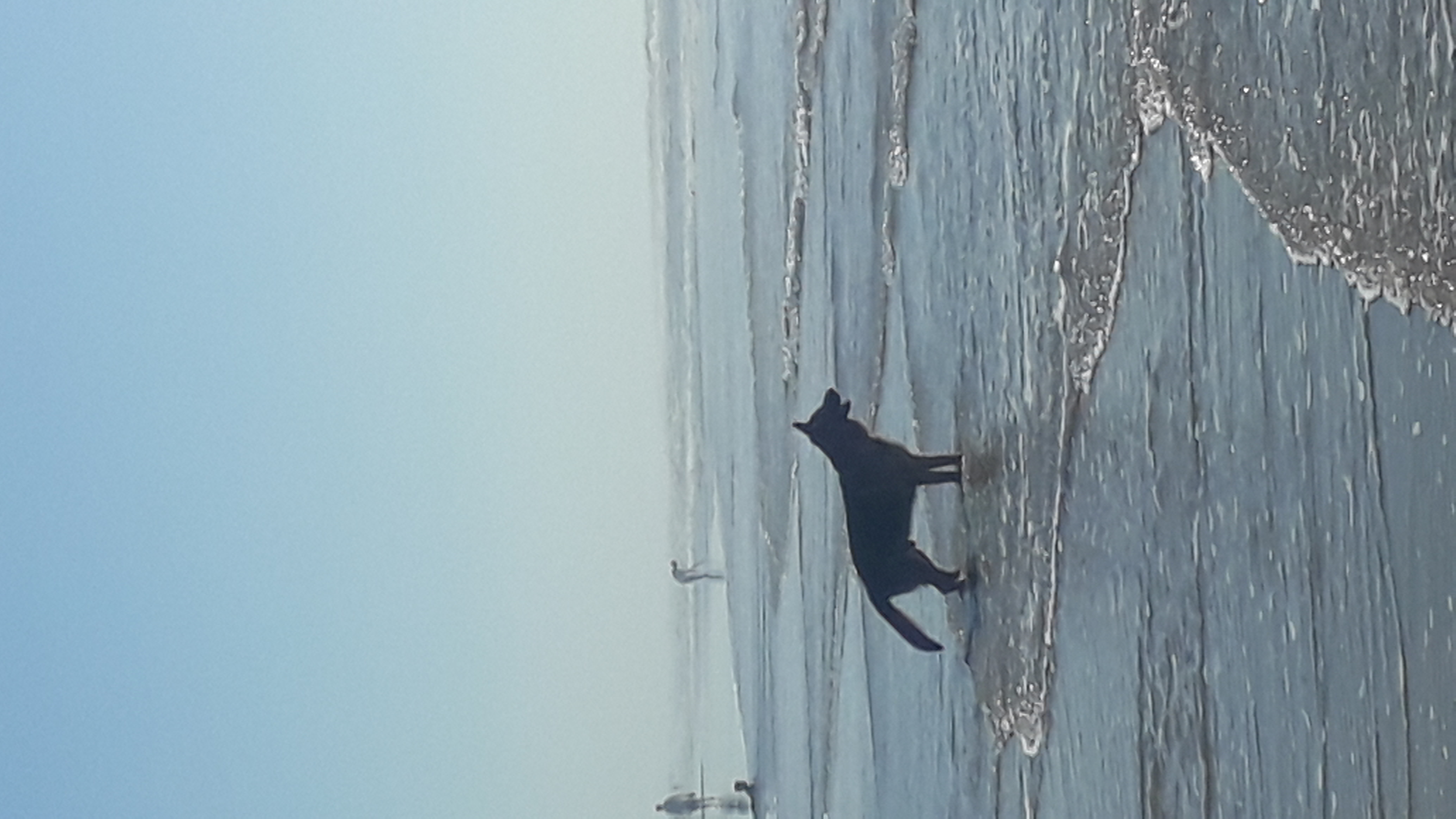 20230318_084131.jpg