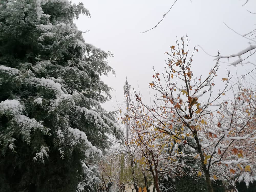 imagepark123 (32).jpeg
