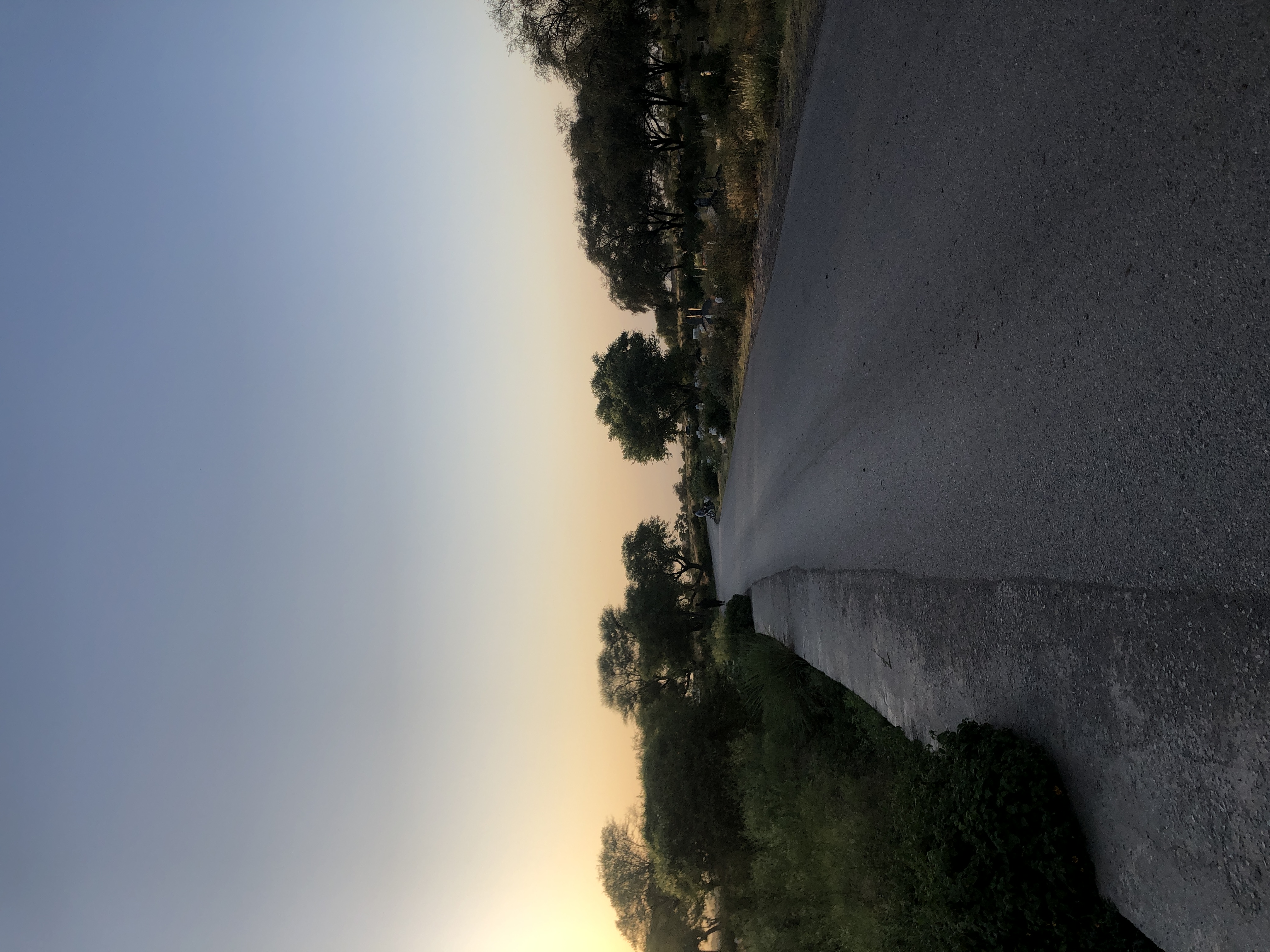 IMG_8625.jpeg