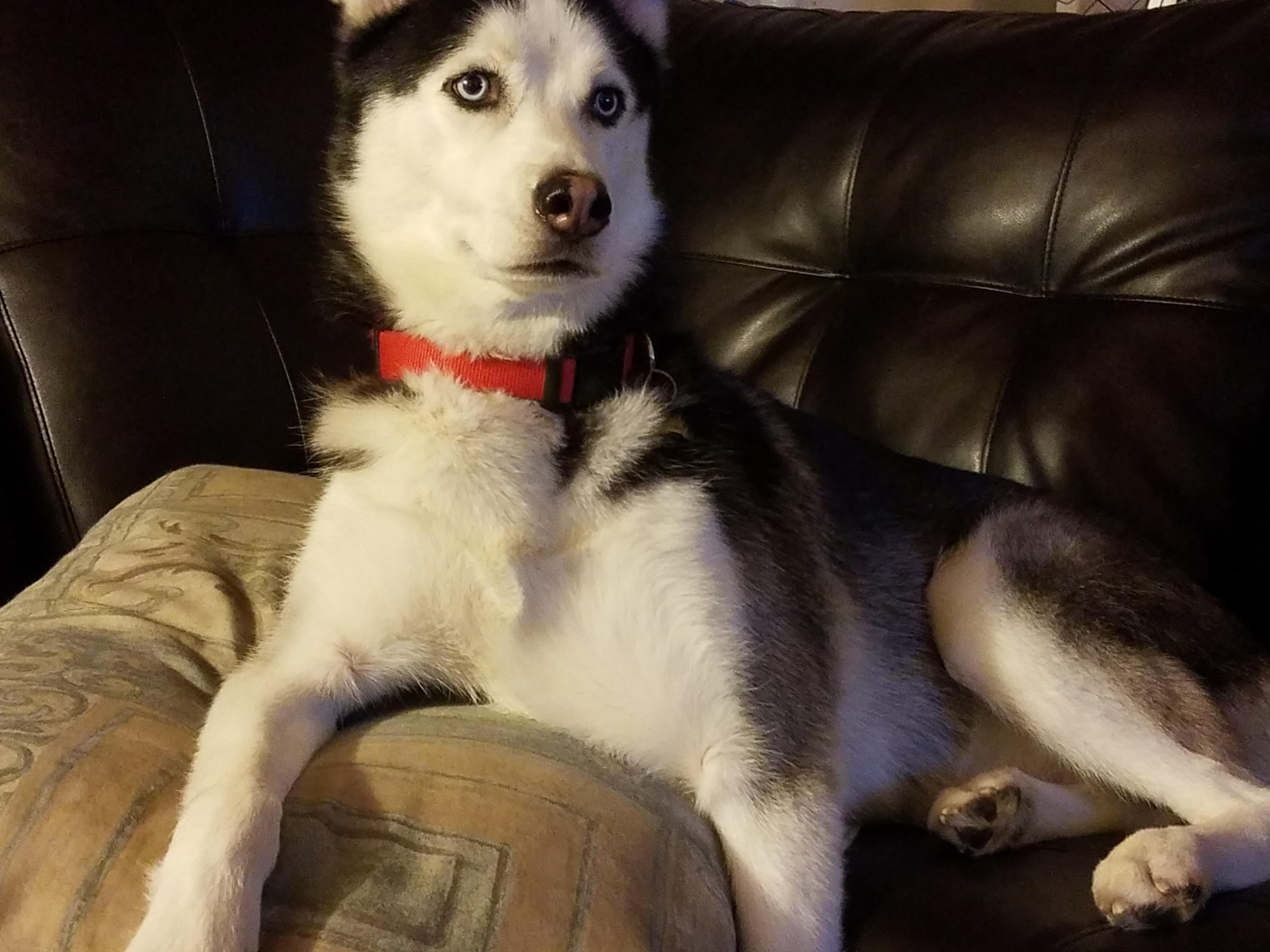 20181112_202416.jpg