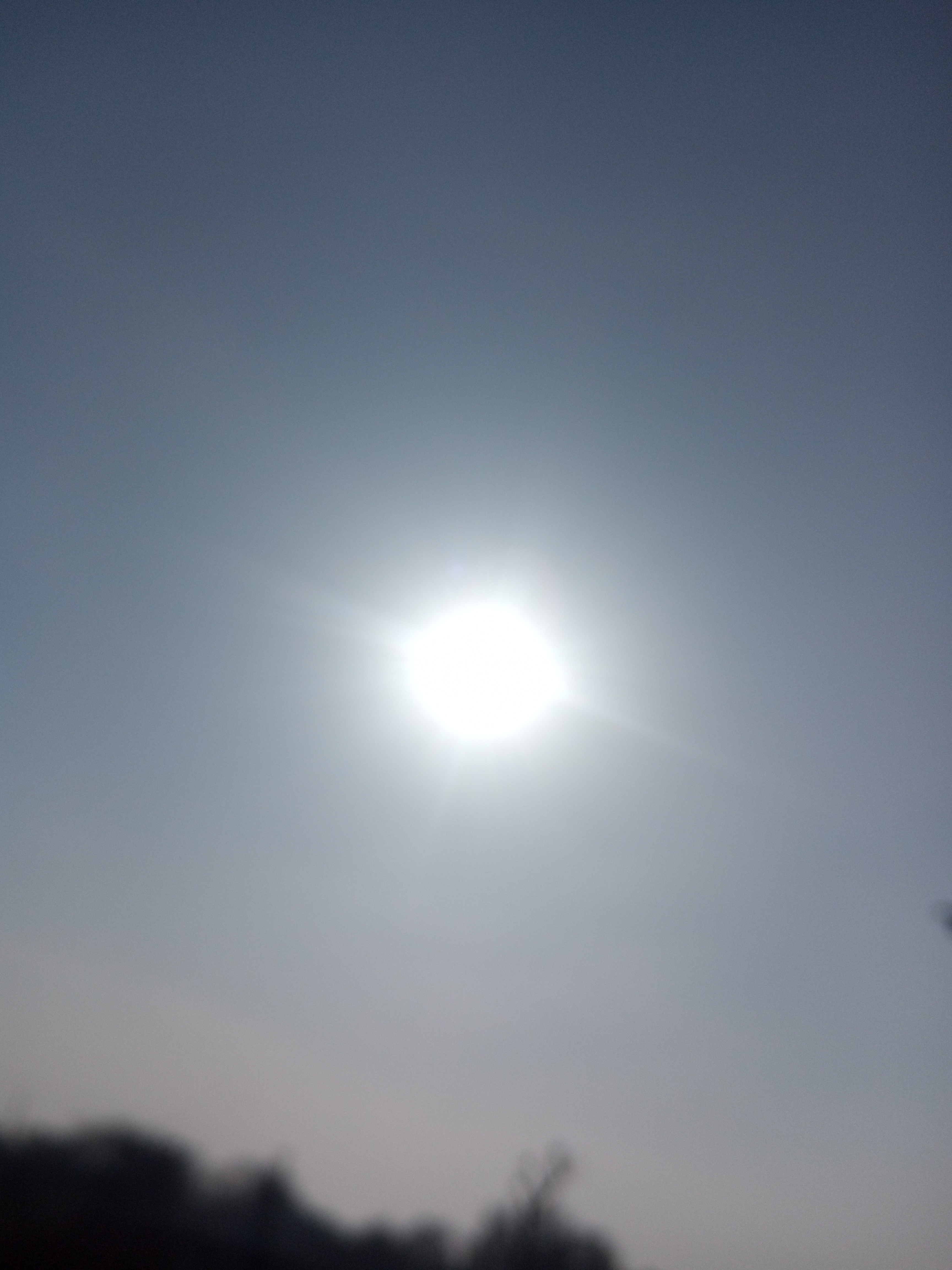 IMG_20240225_090314_796.jpg