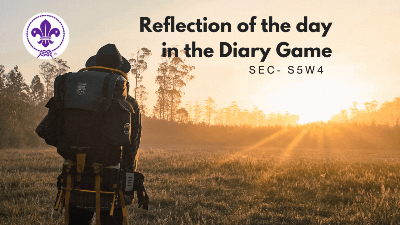 Reflection of the day.gif