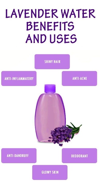 lavender hydrosol benefits and uses.jpg