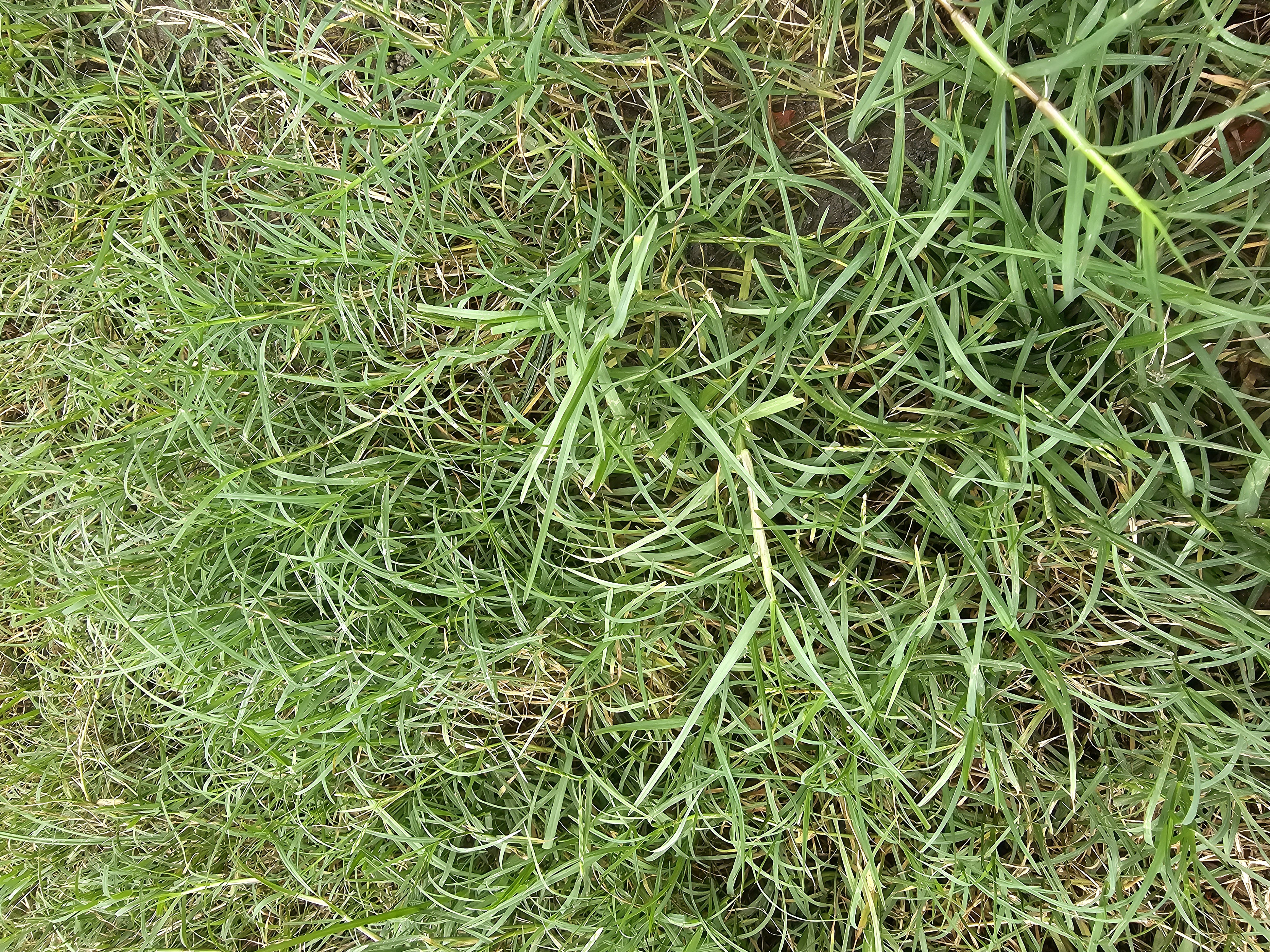 20260615_095005.jpg