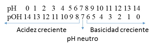 imagen6.jpg