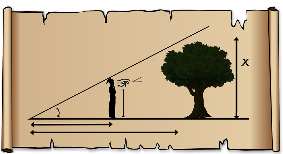 forester-triangle-2921203_960_720.png
