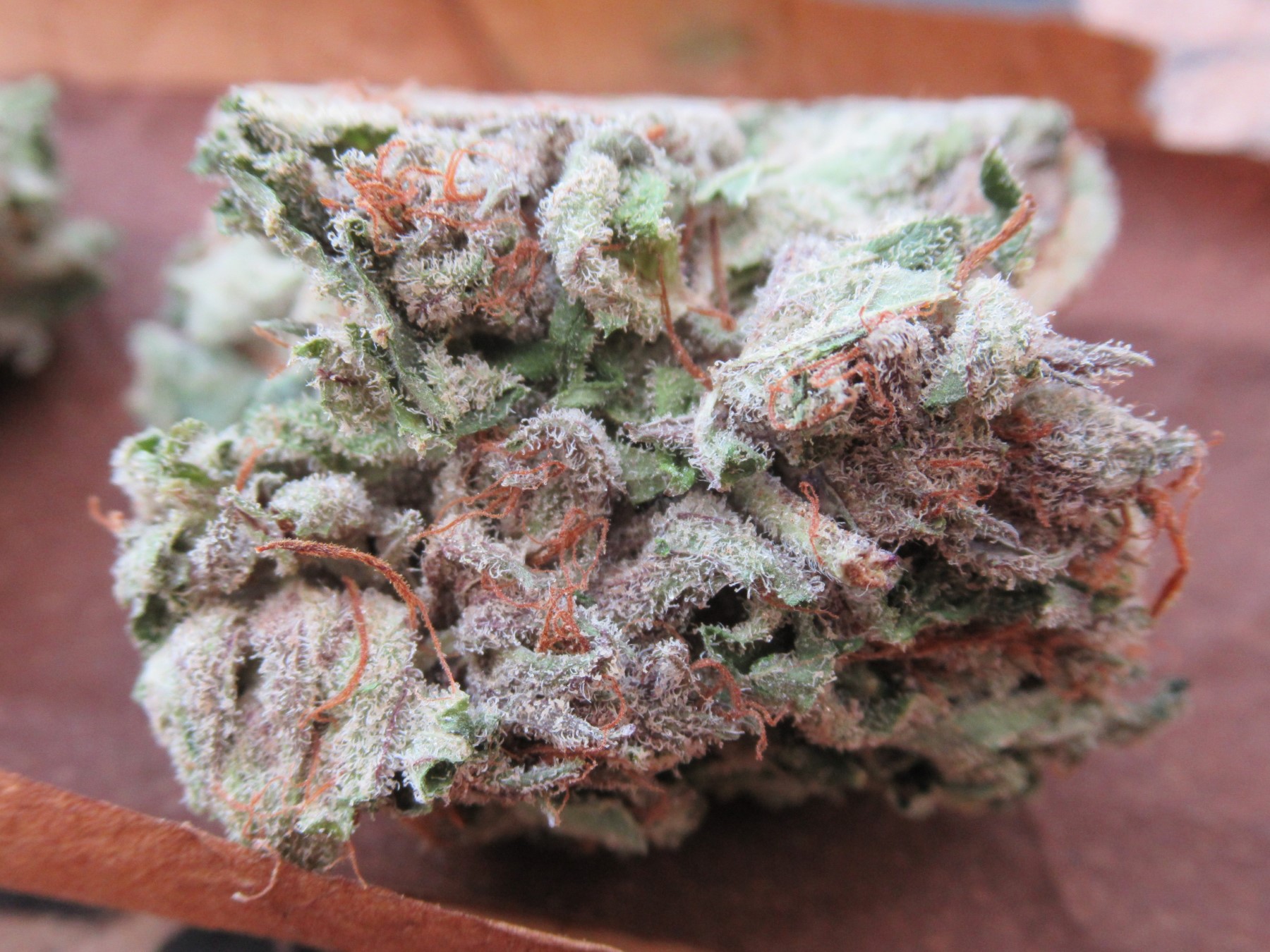 fullnugside3.jpg