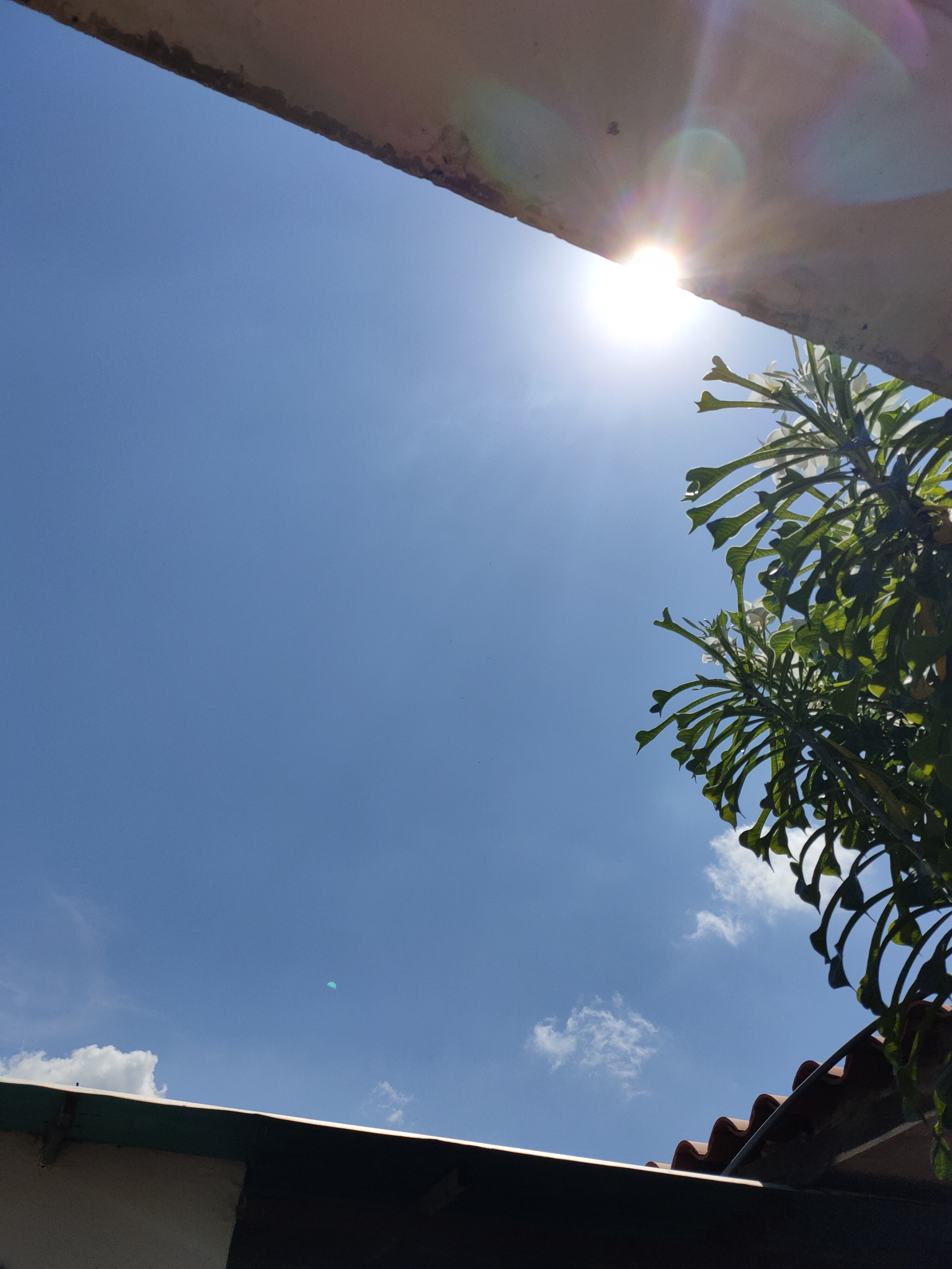 IMG20201014105843.jpg
