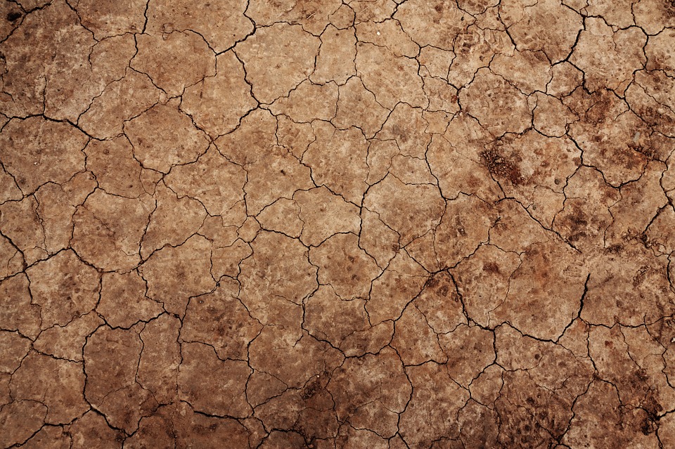 arid-21799_960_720.jpg