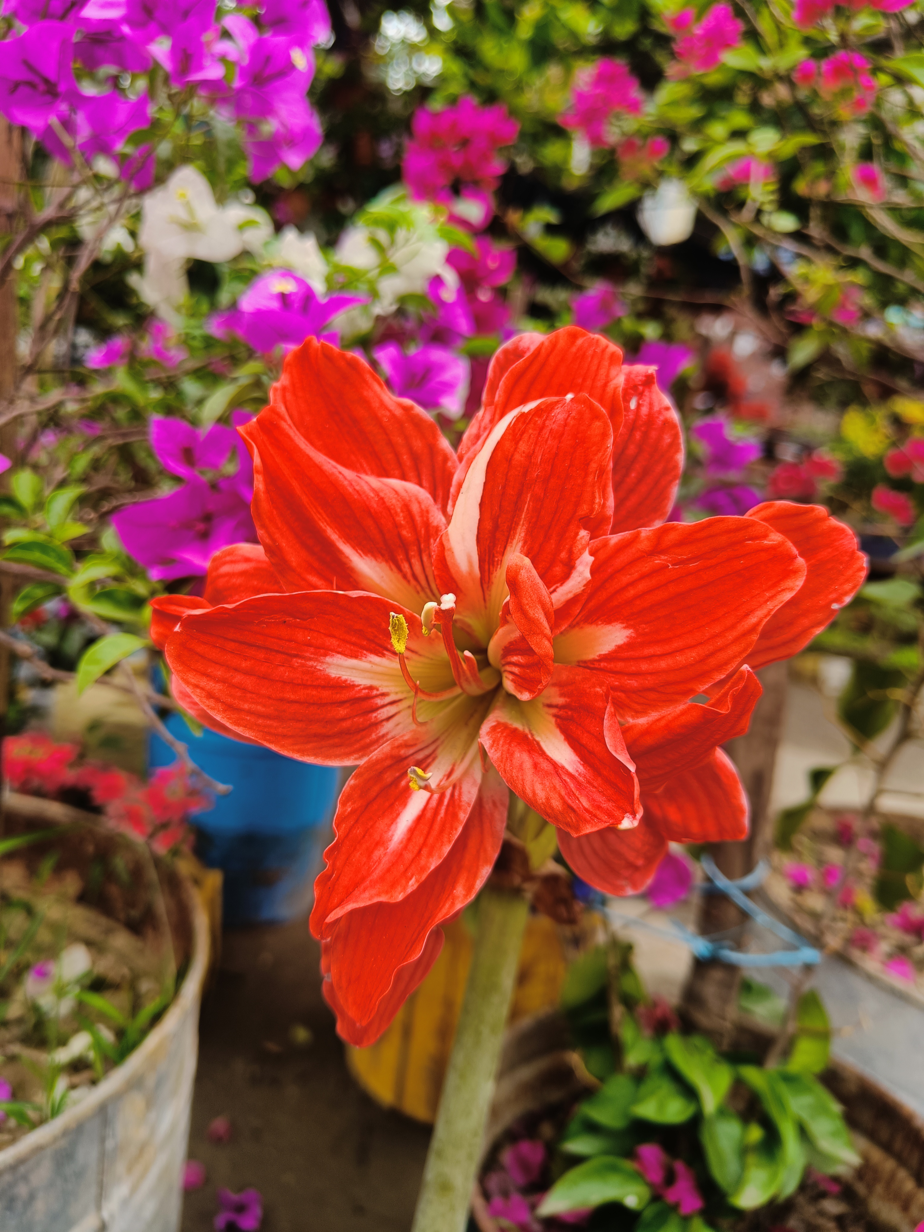 IMG20240320145444.jpg