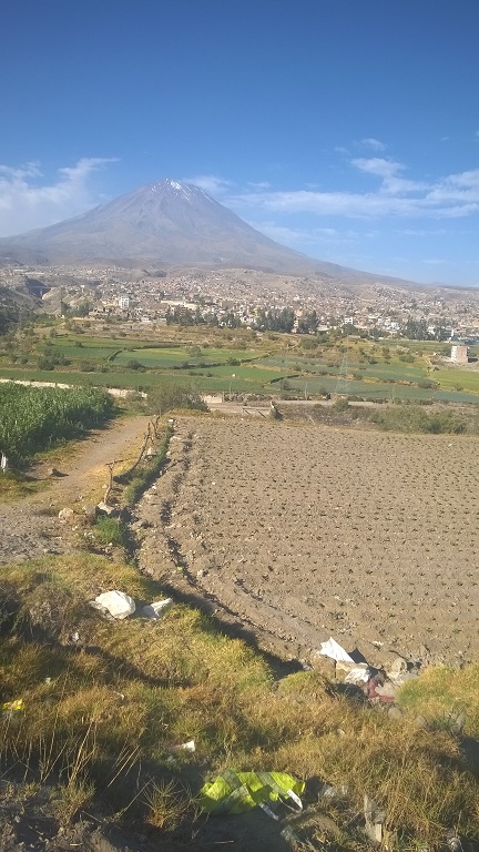 WP_20180829_010.jpg