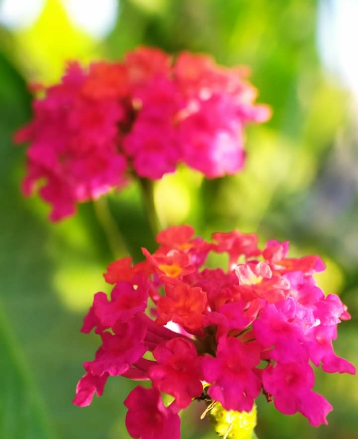 IMG_20211130_205455.png