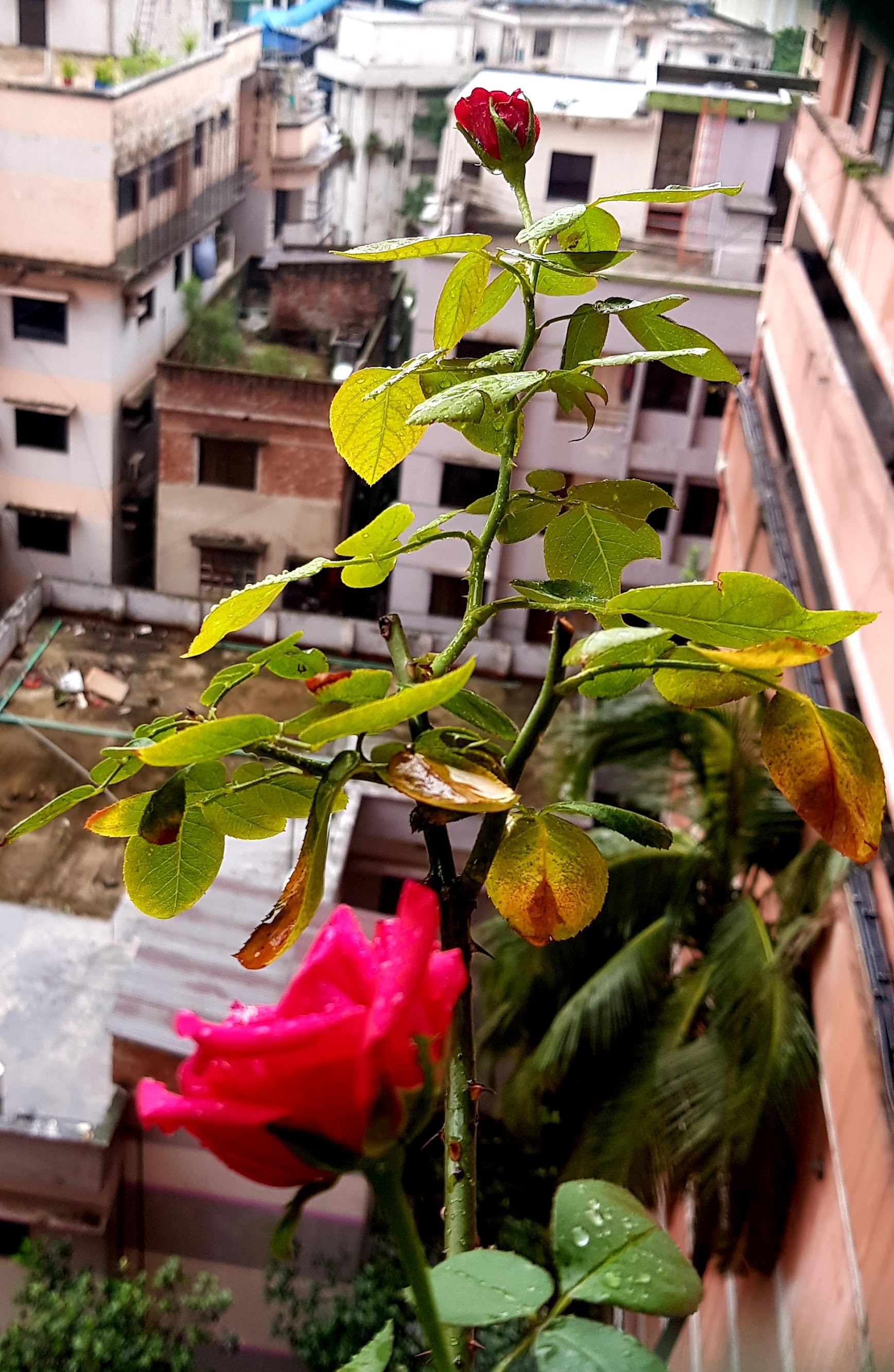 20220814_183135.jpg