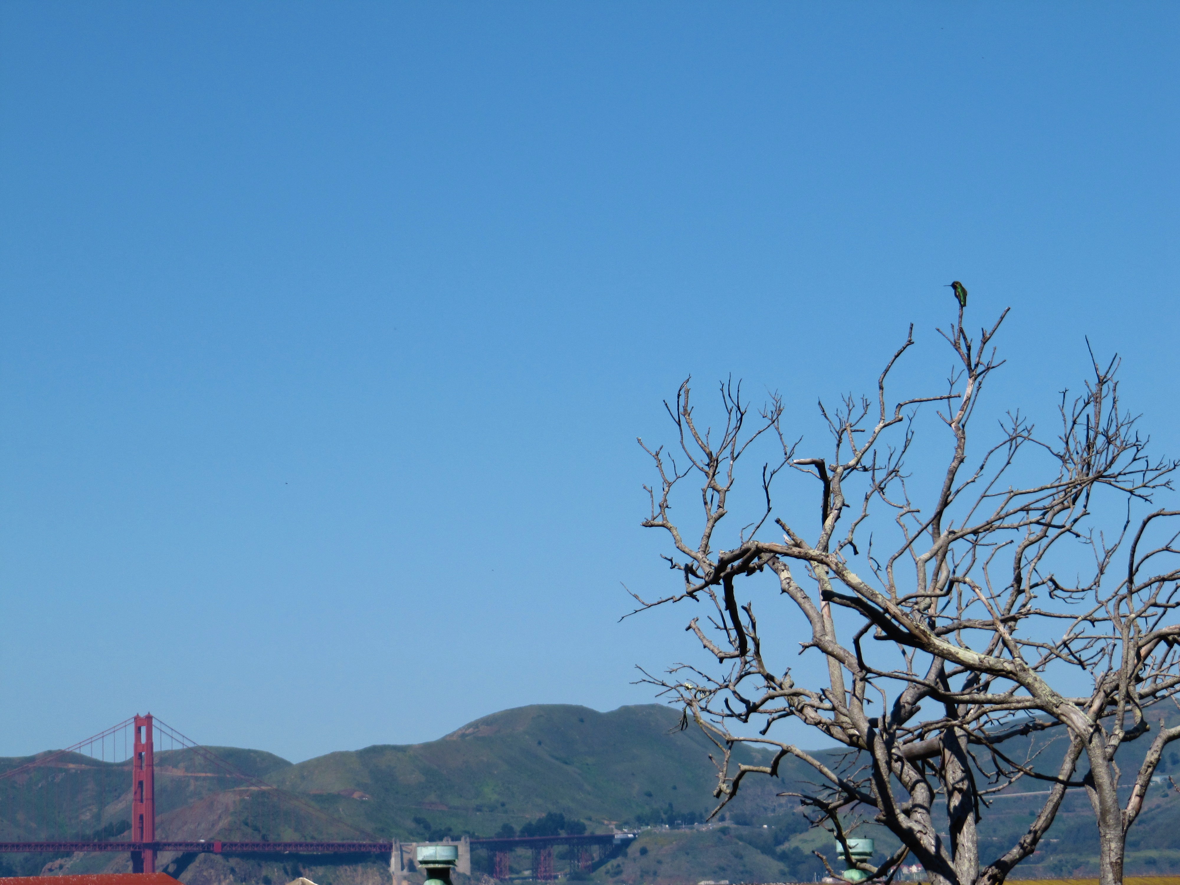 IMG_4724.JPG