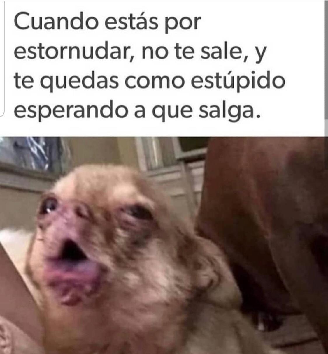 WhatsApp Image 2019-02-27 at 11.33.26 AM.jpeg