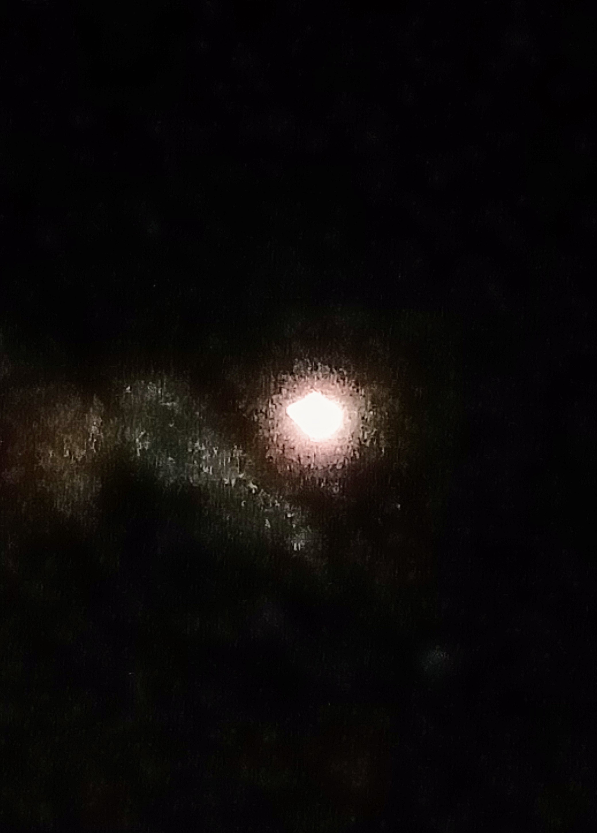 IMG20181115200155.jpg