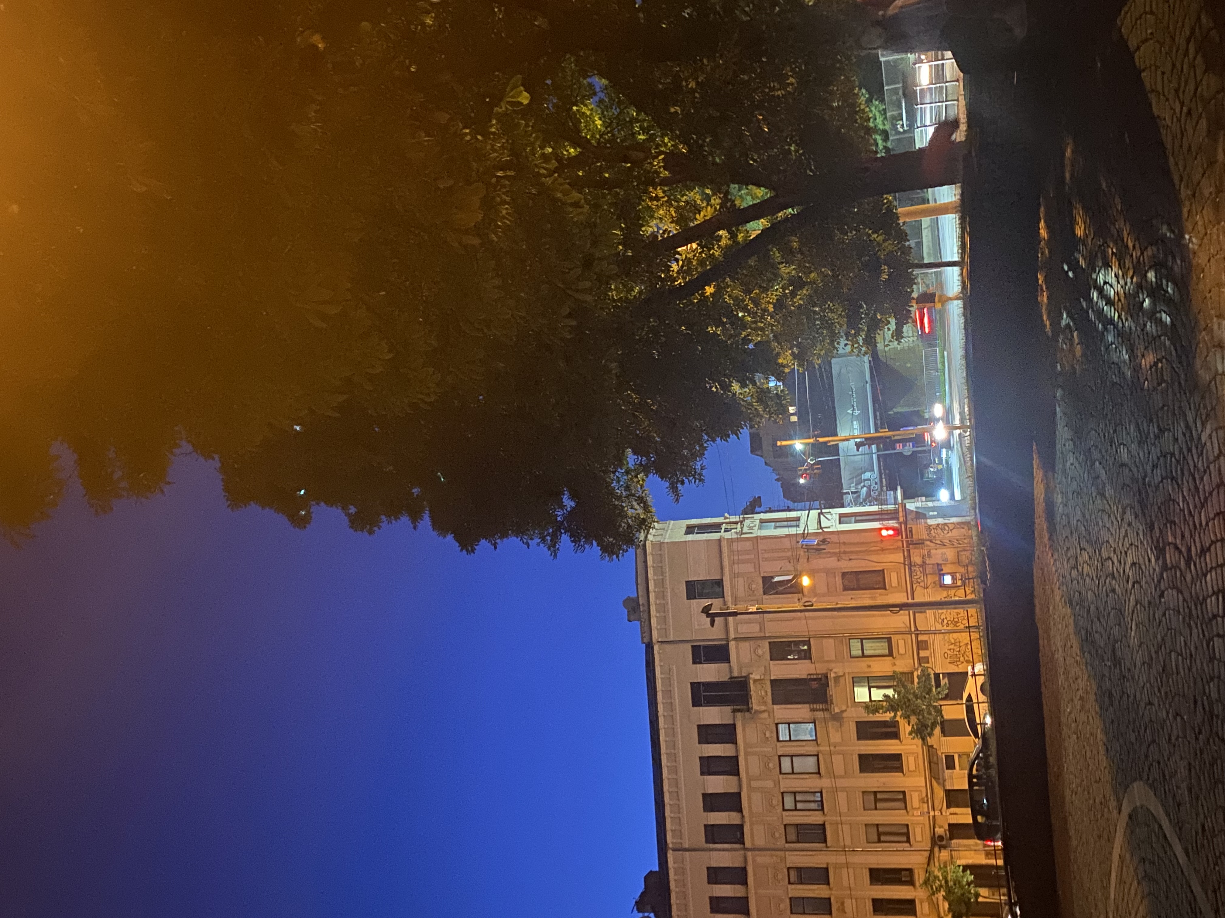 IMG_2763.jpeg