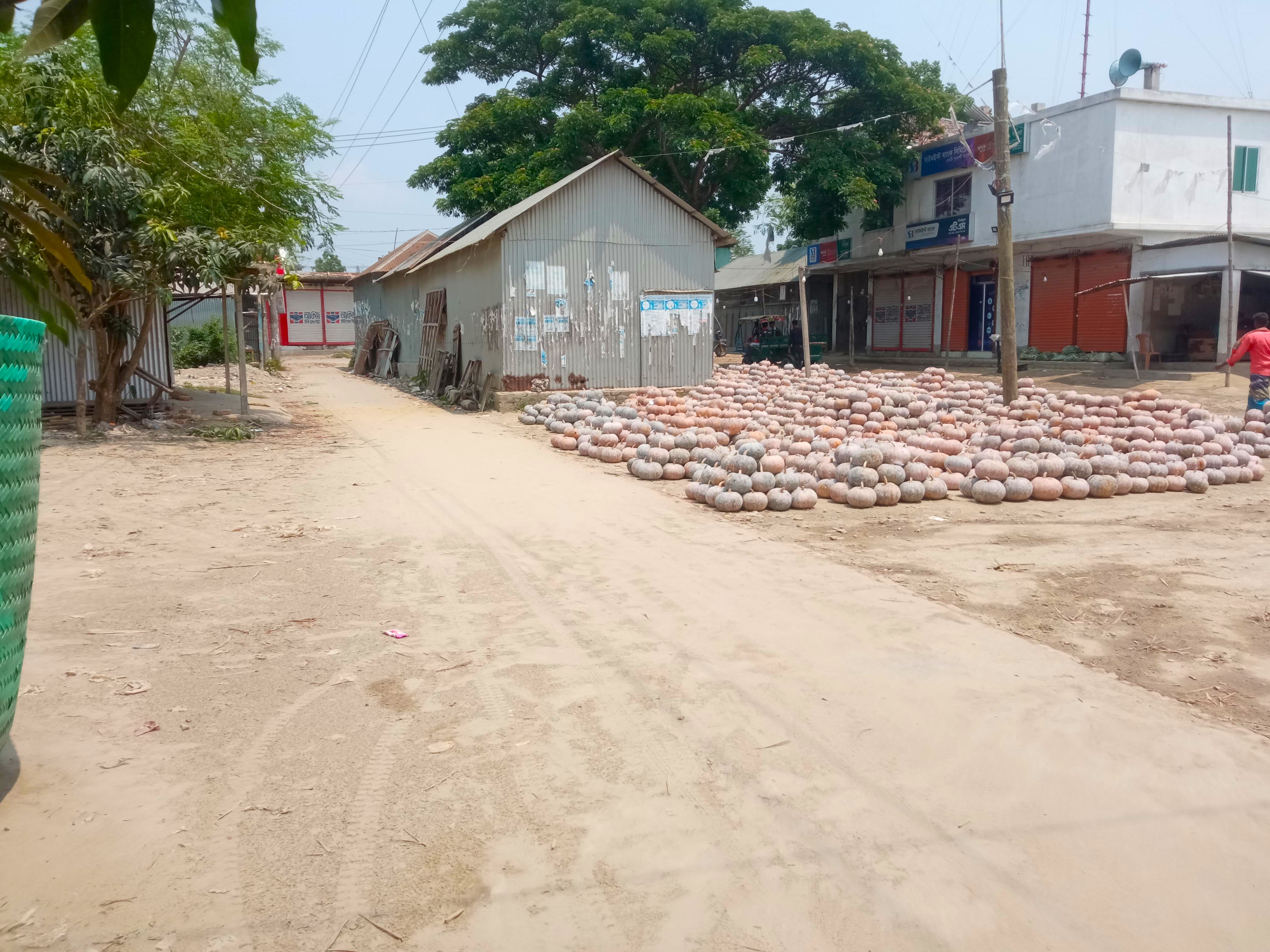 কুমড়া (1).jpg