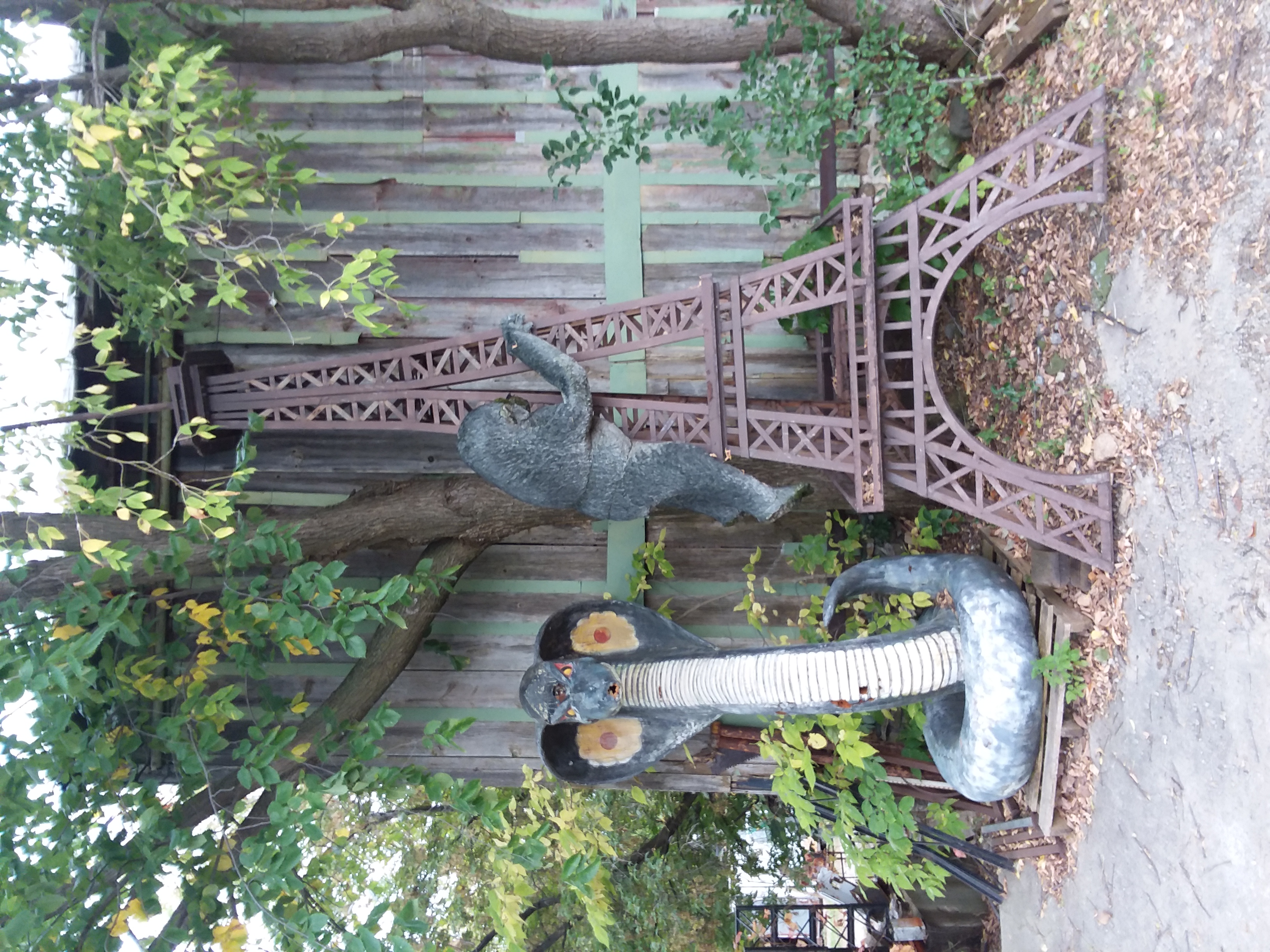 20180925_141718.jpg