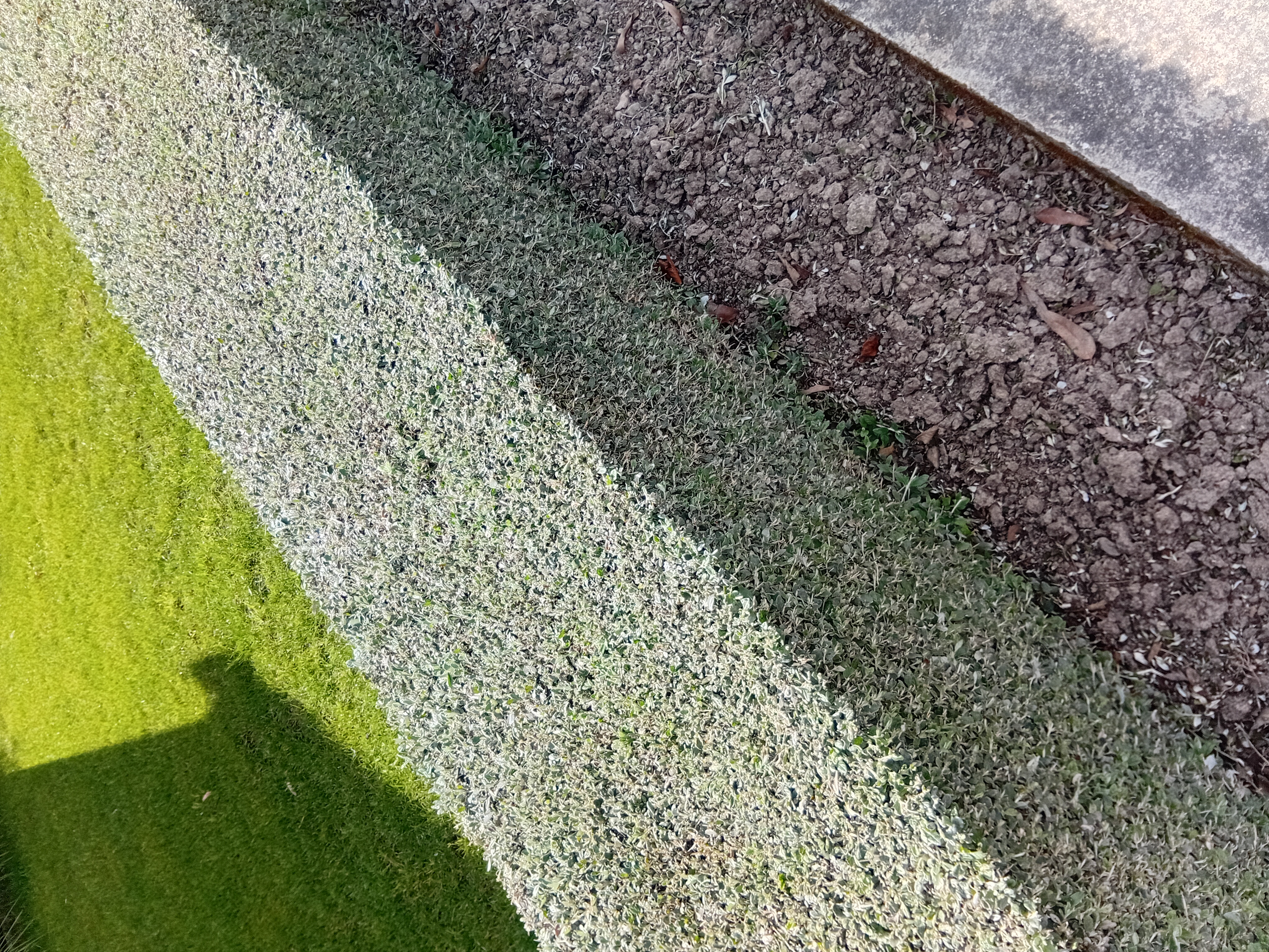 20260918_142319.jpg