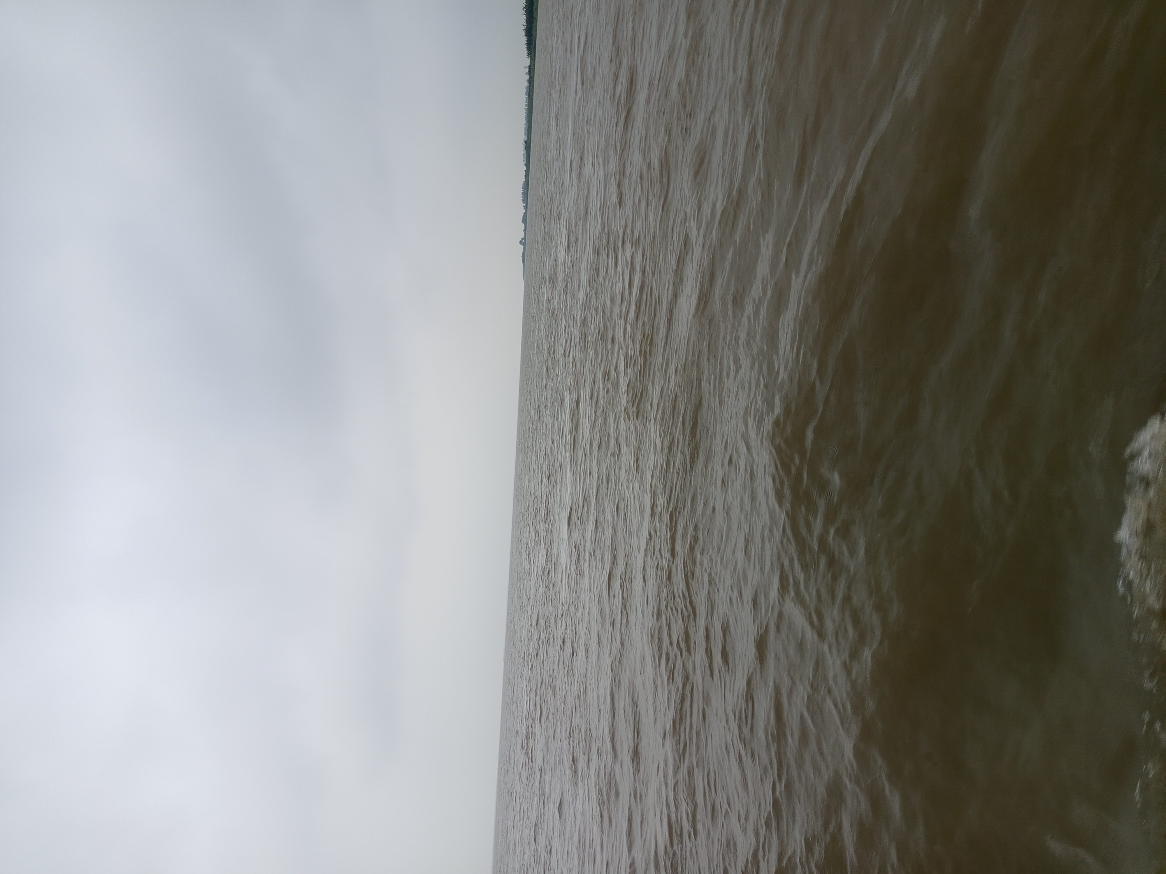 1000032497.jpg