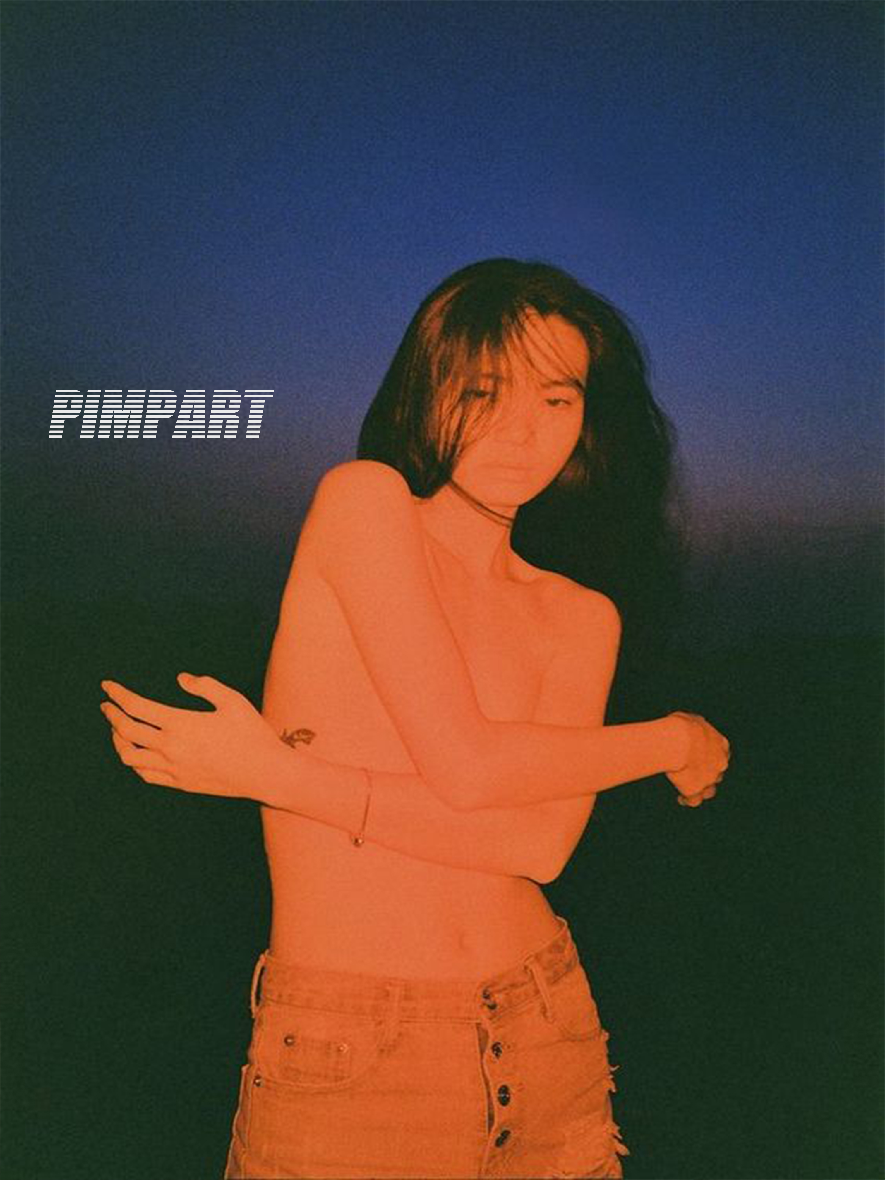 pimp3.jpg