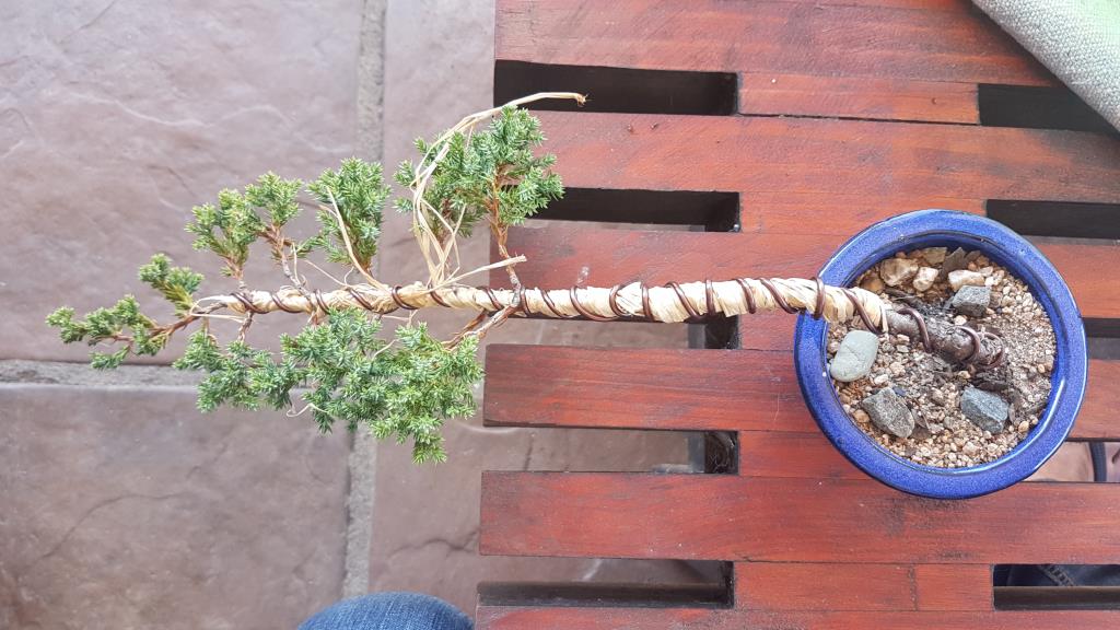 20190623_115618.jpg