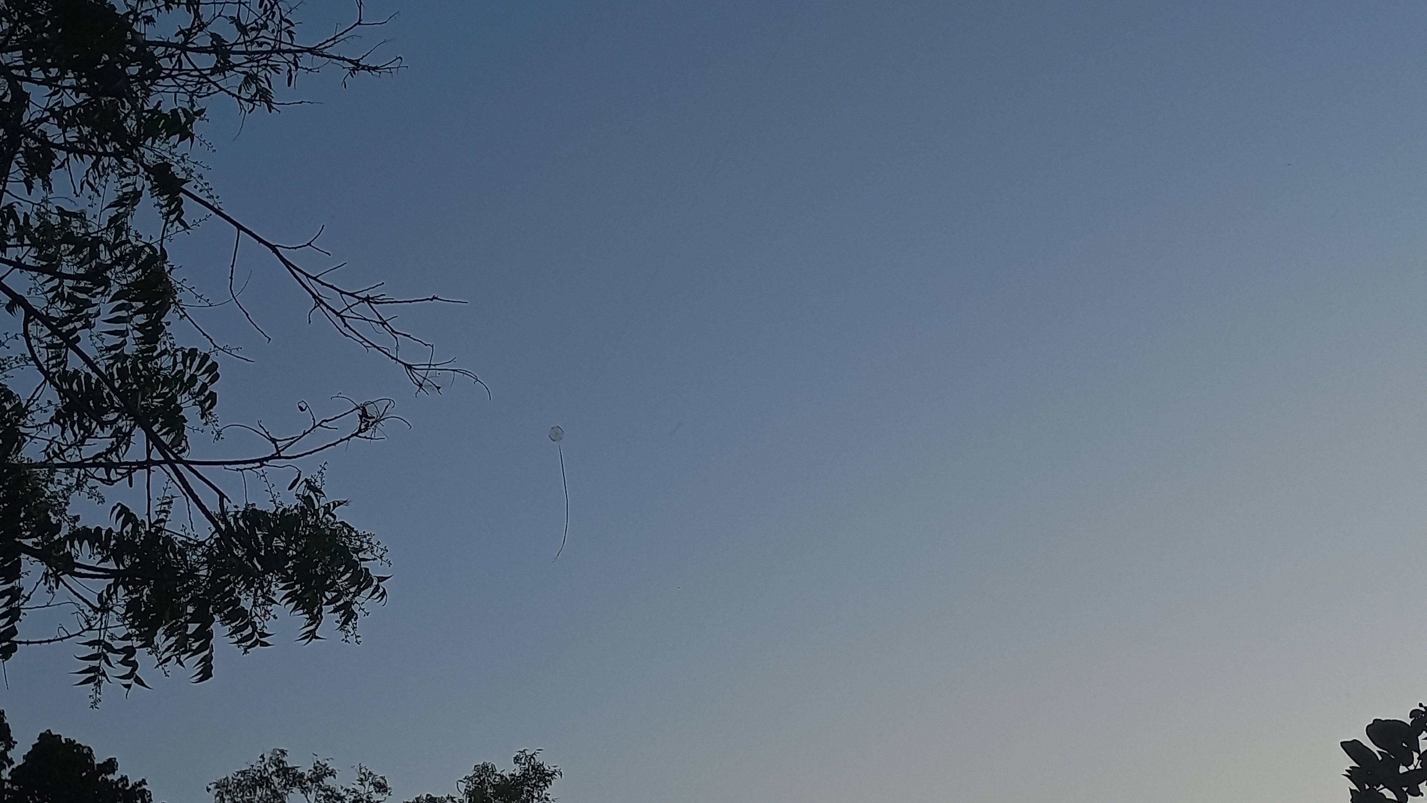 20230326_182415.jpg