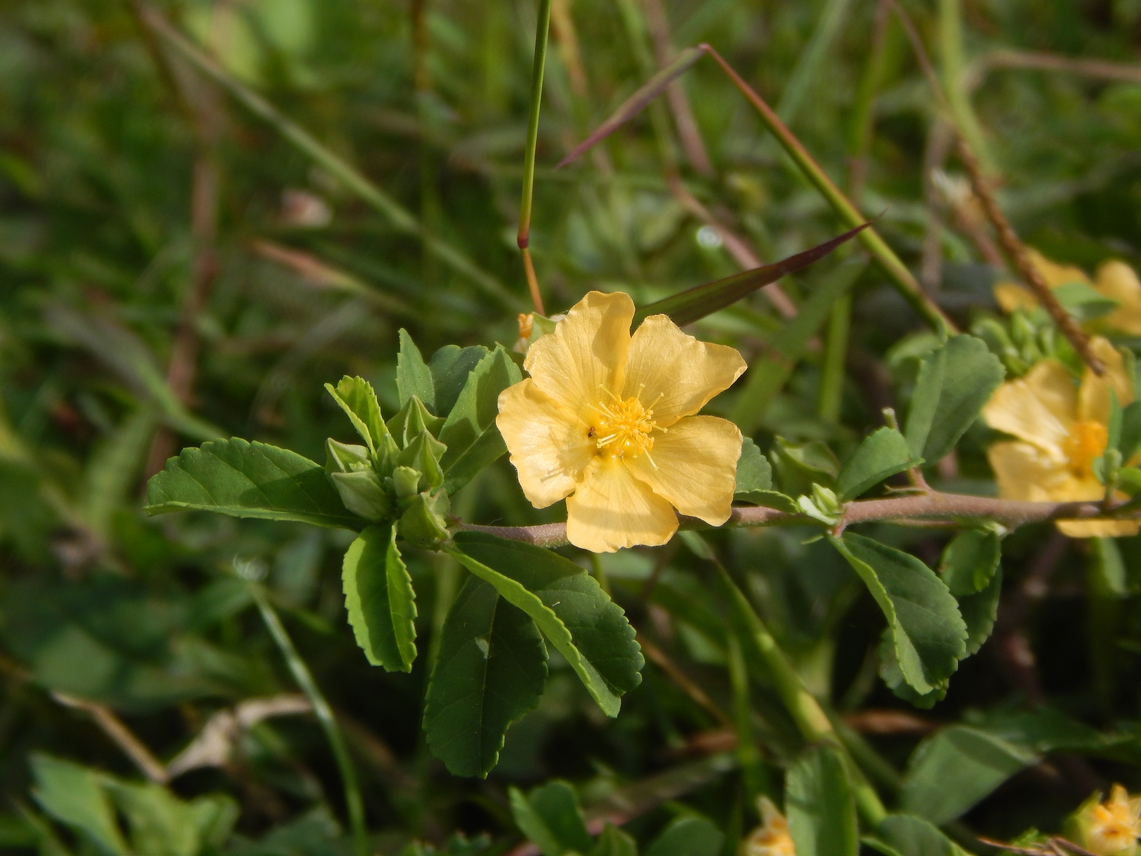 DSCN9986.jpg