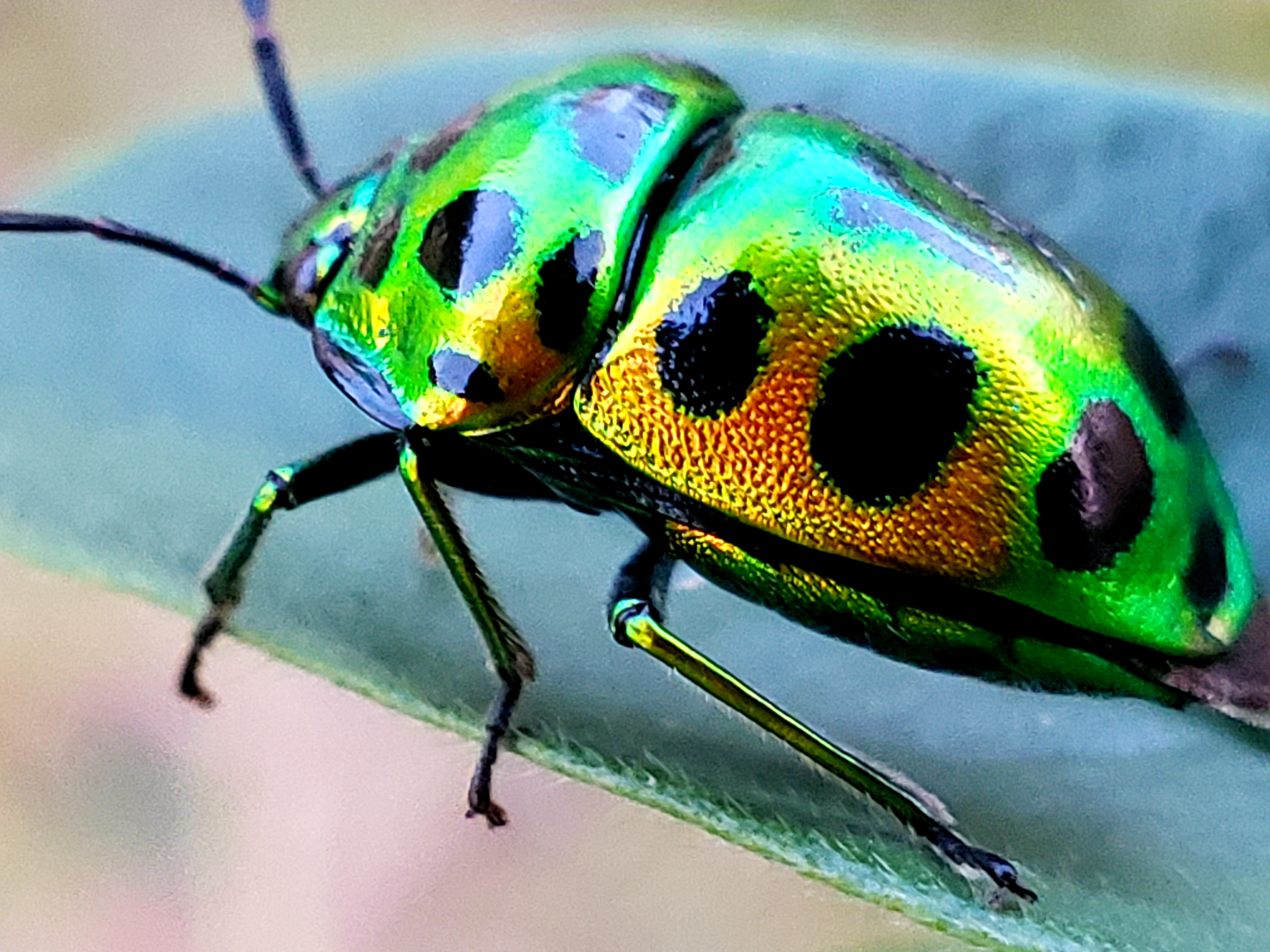20210915_220556.jpg