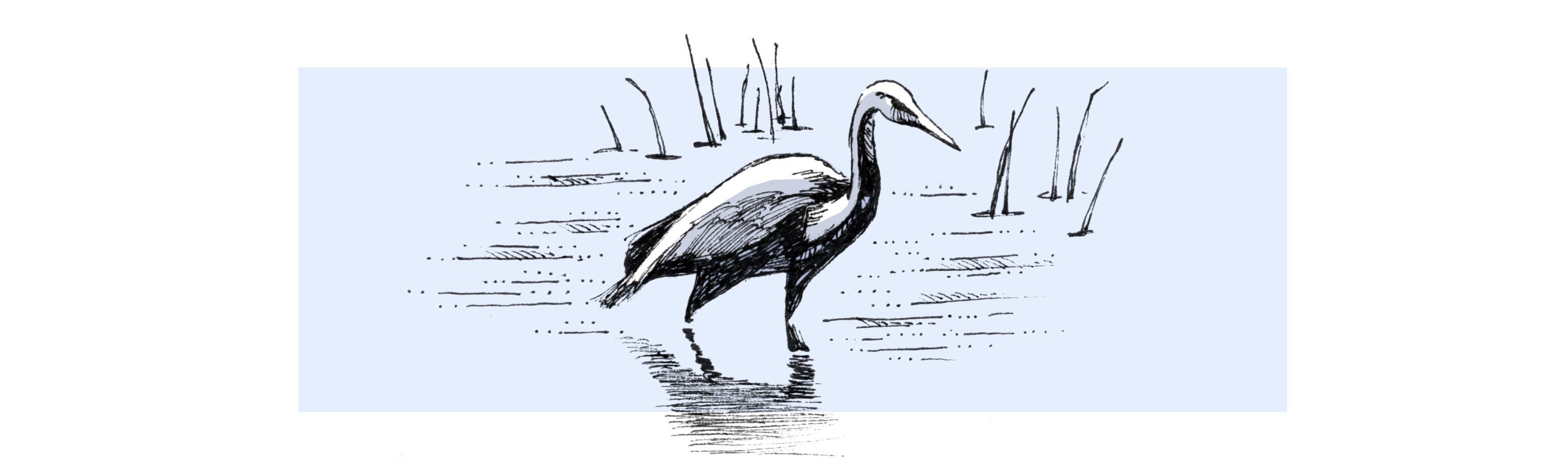 heron-blog.jpg