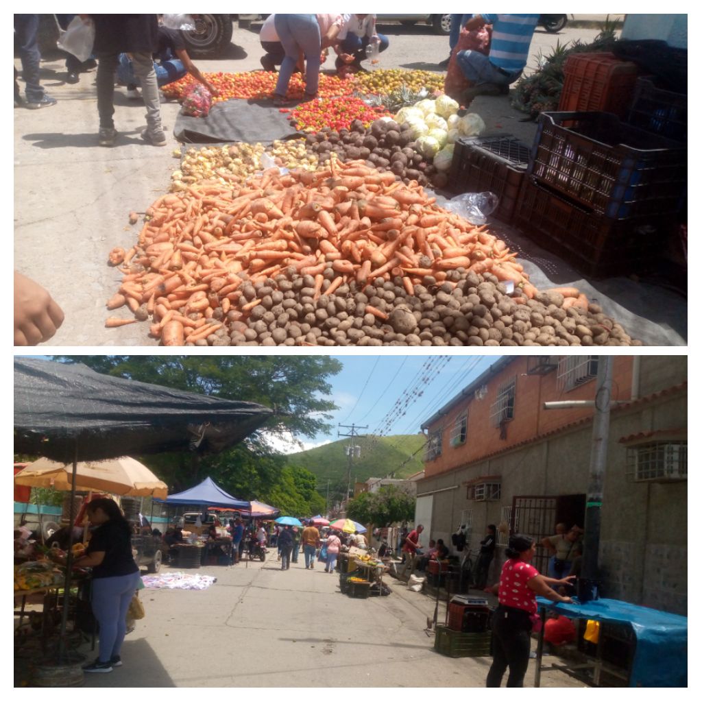 IMG_20260915_114344-COLLAGE.jpg