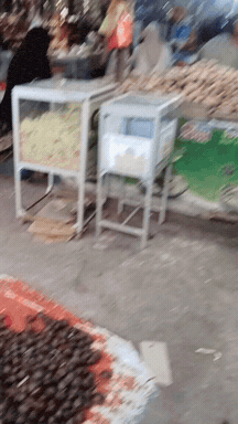 gif_temp.gif