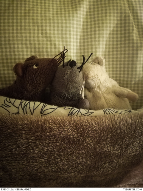 fufunchis good night - by priscilla Hernandez (yidneth.com).jpg