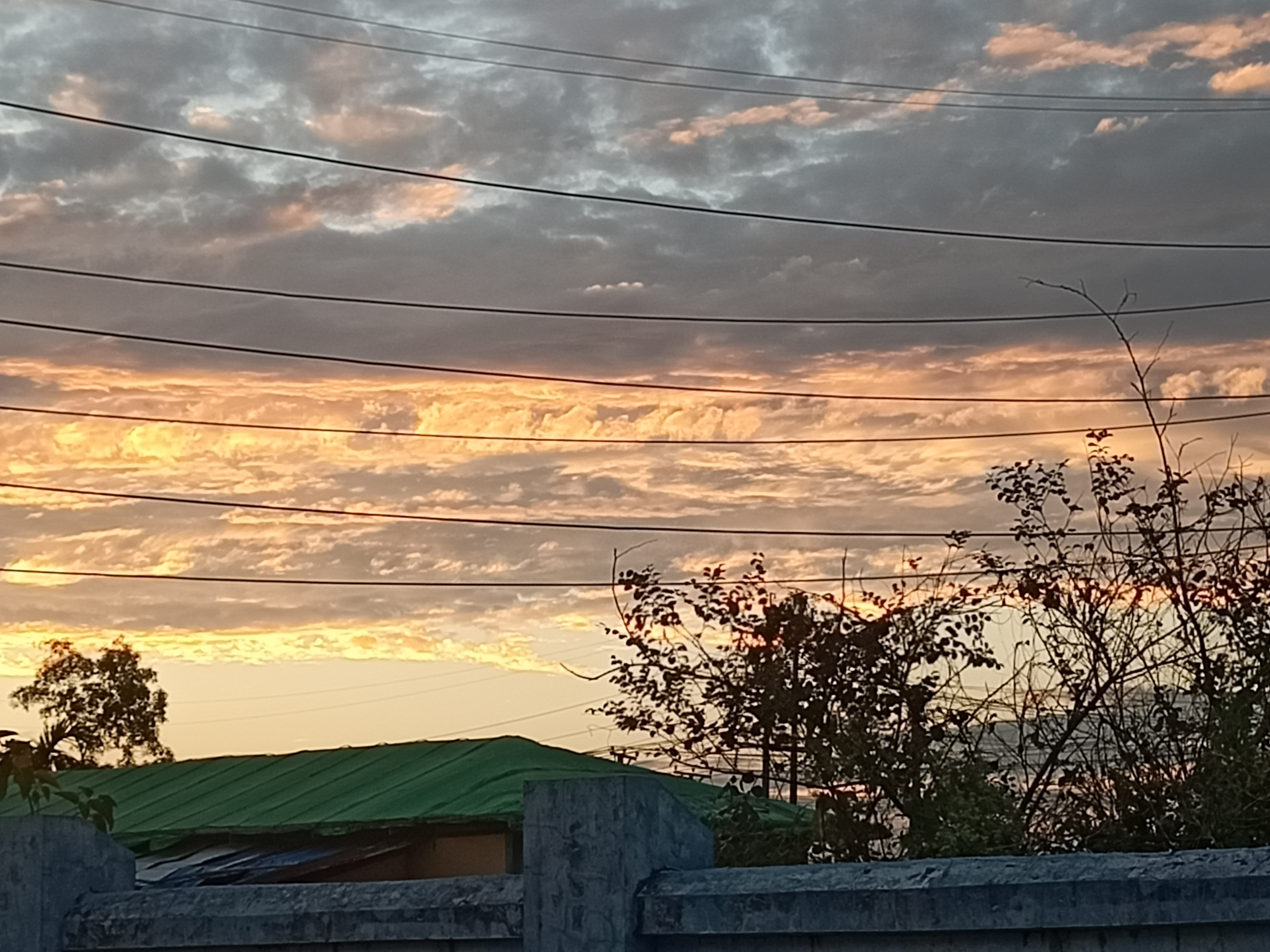 IMG20231121173417.jpg